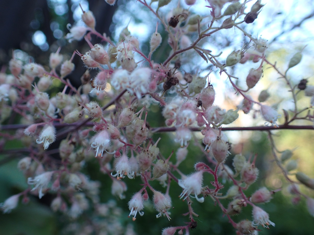 PB010925.JPG