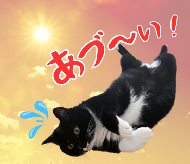 あつい.png