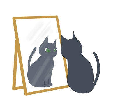鏡を見る黒猫.jpeg