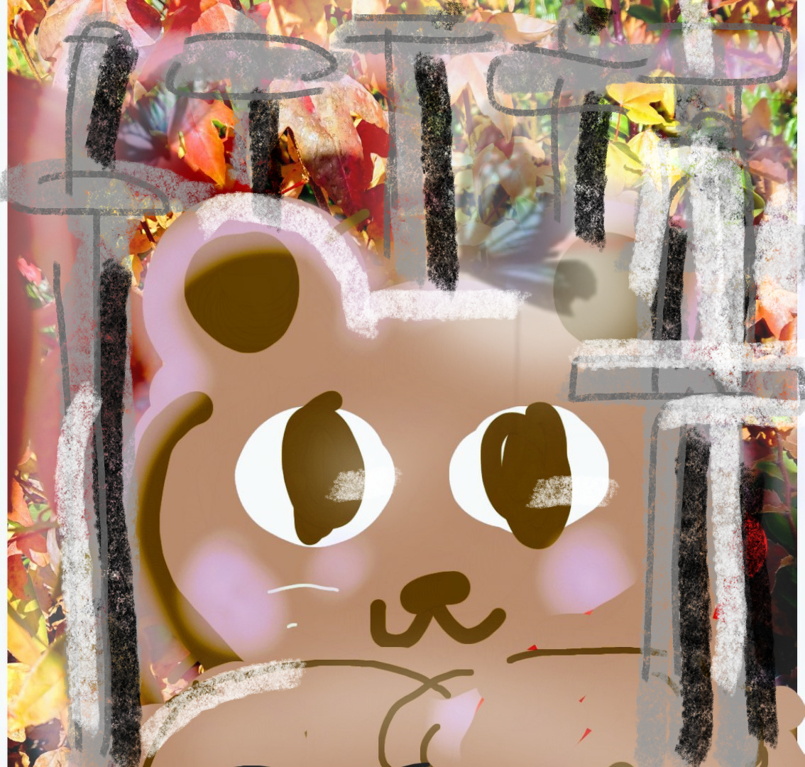 sketch-1784424589738.png