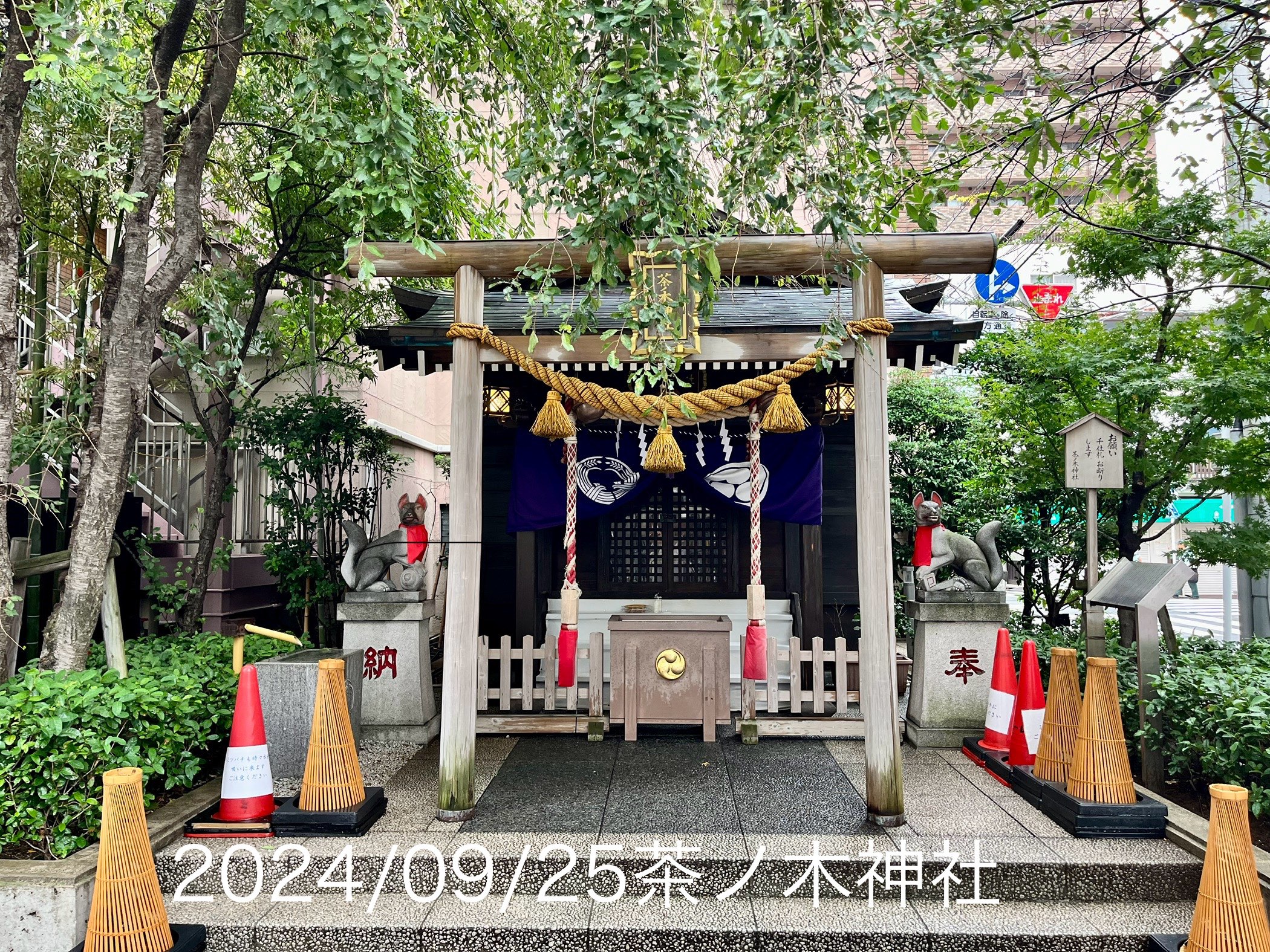IMG_2590.jpeg