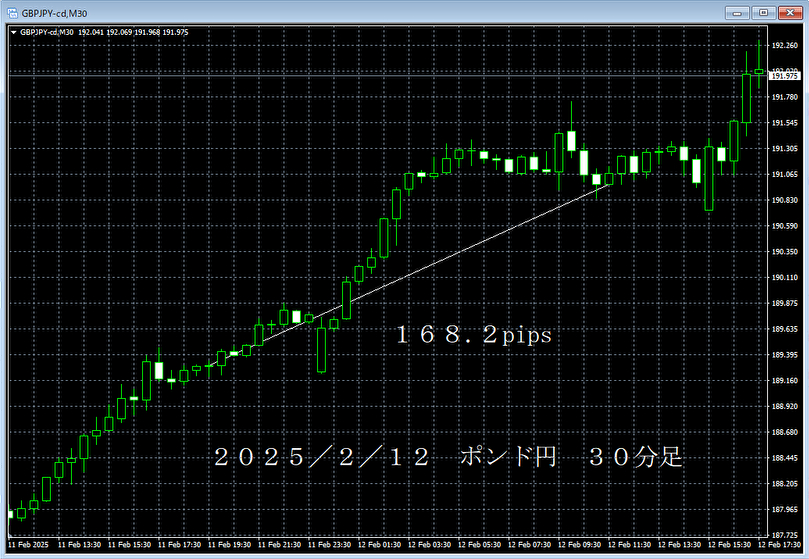 20250212ポンド円３０分足.png