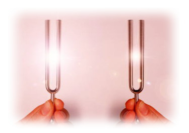 spimage_048.jpg