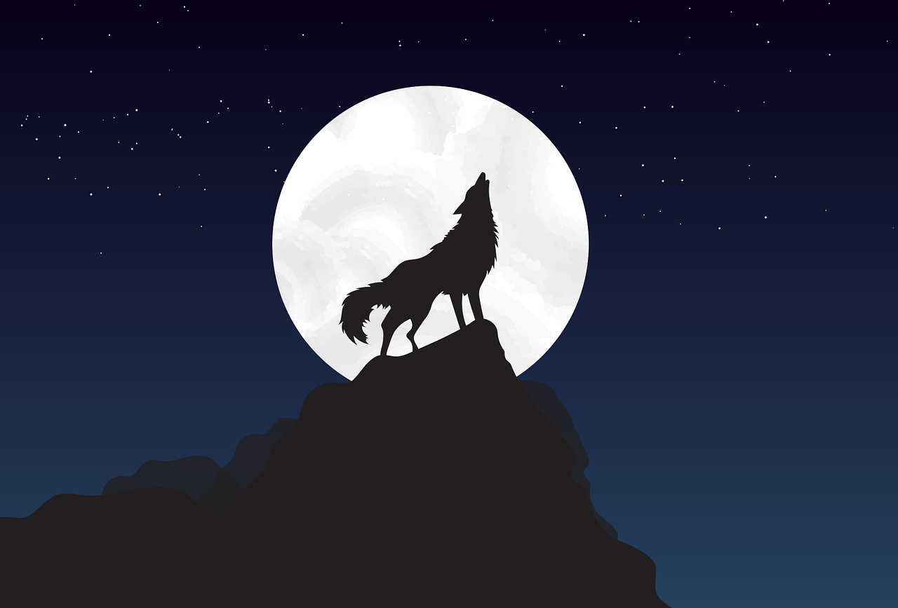 wolf-4561204_1280.png