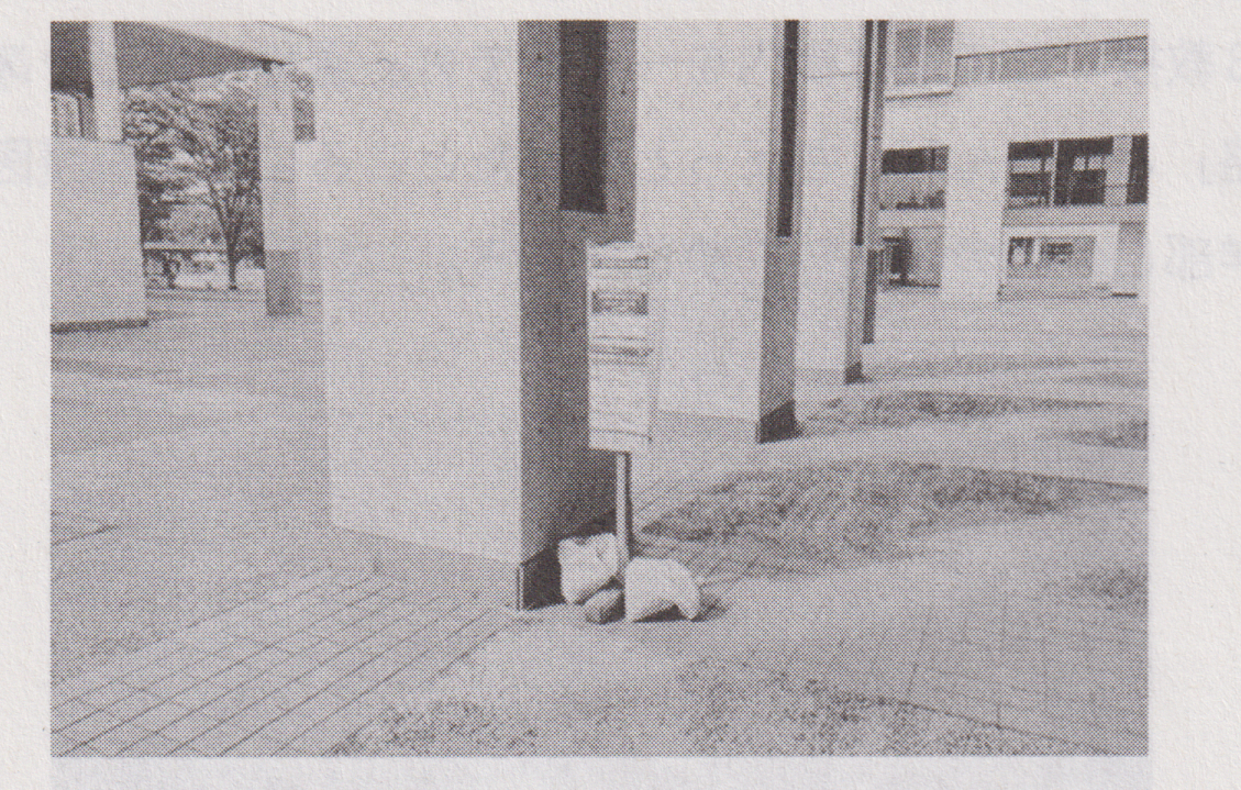 写真11.png