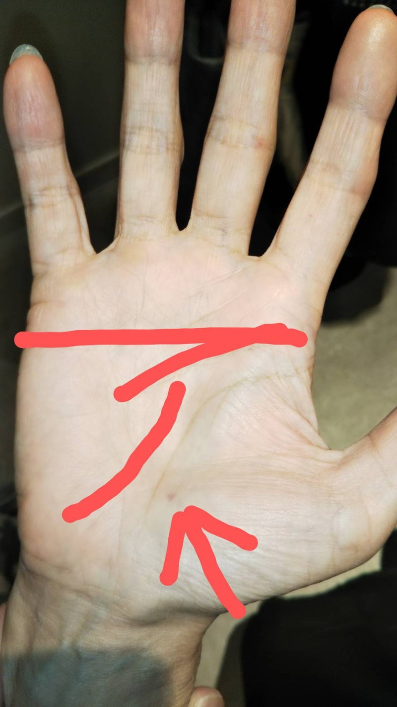 手相１.jpeg