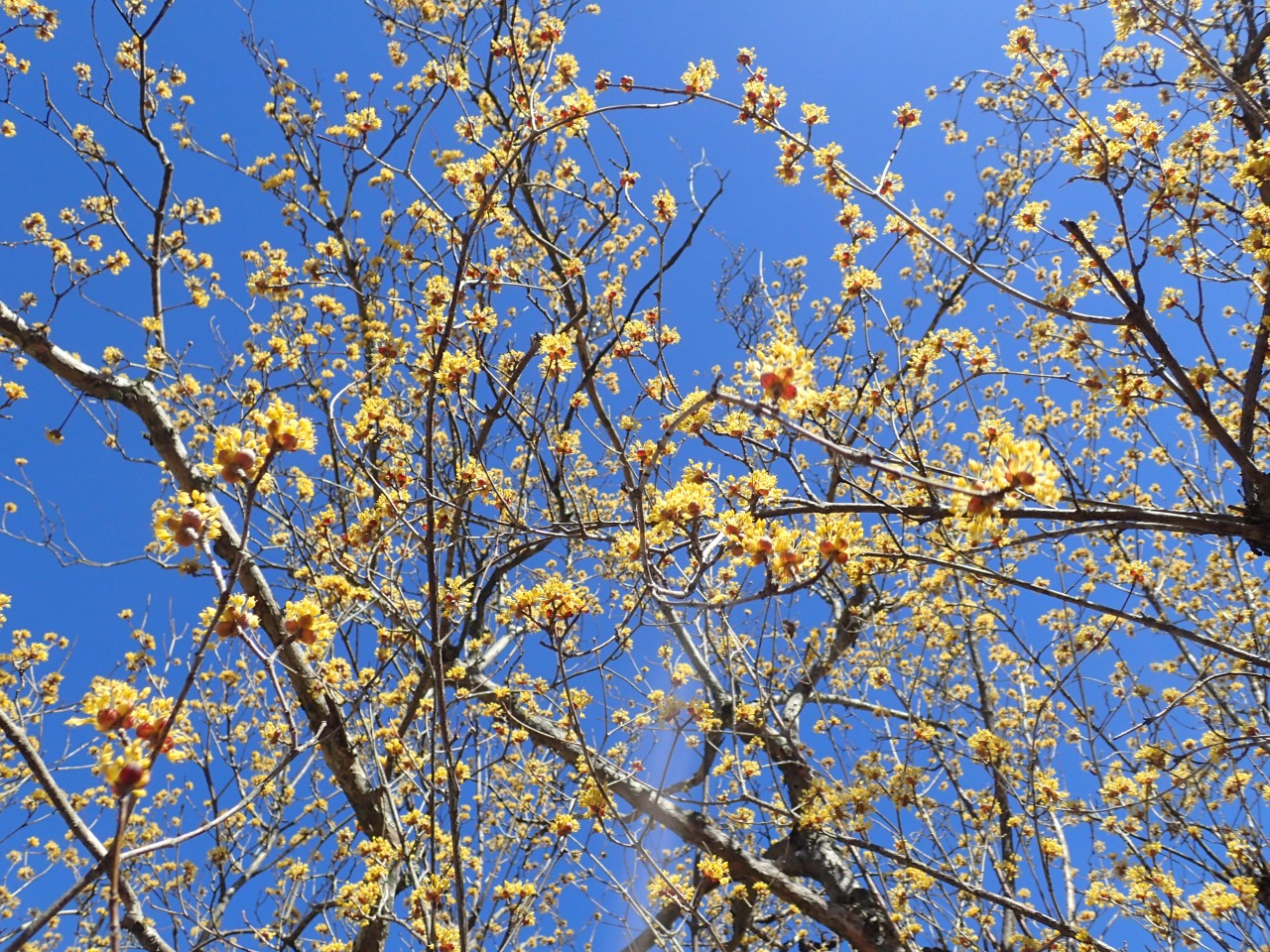 P3020600.JPG