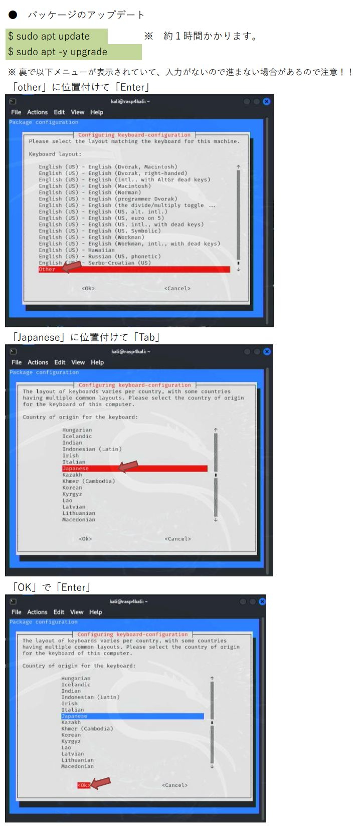 ２．Kali-Linux の初期設定-0004.JPG