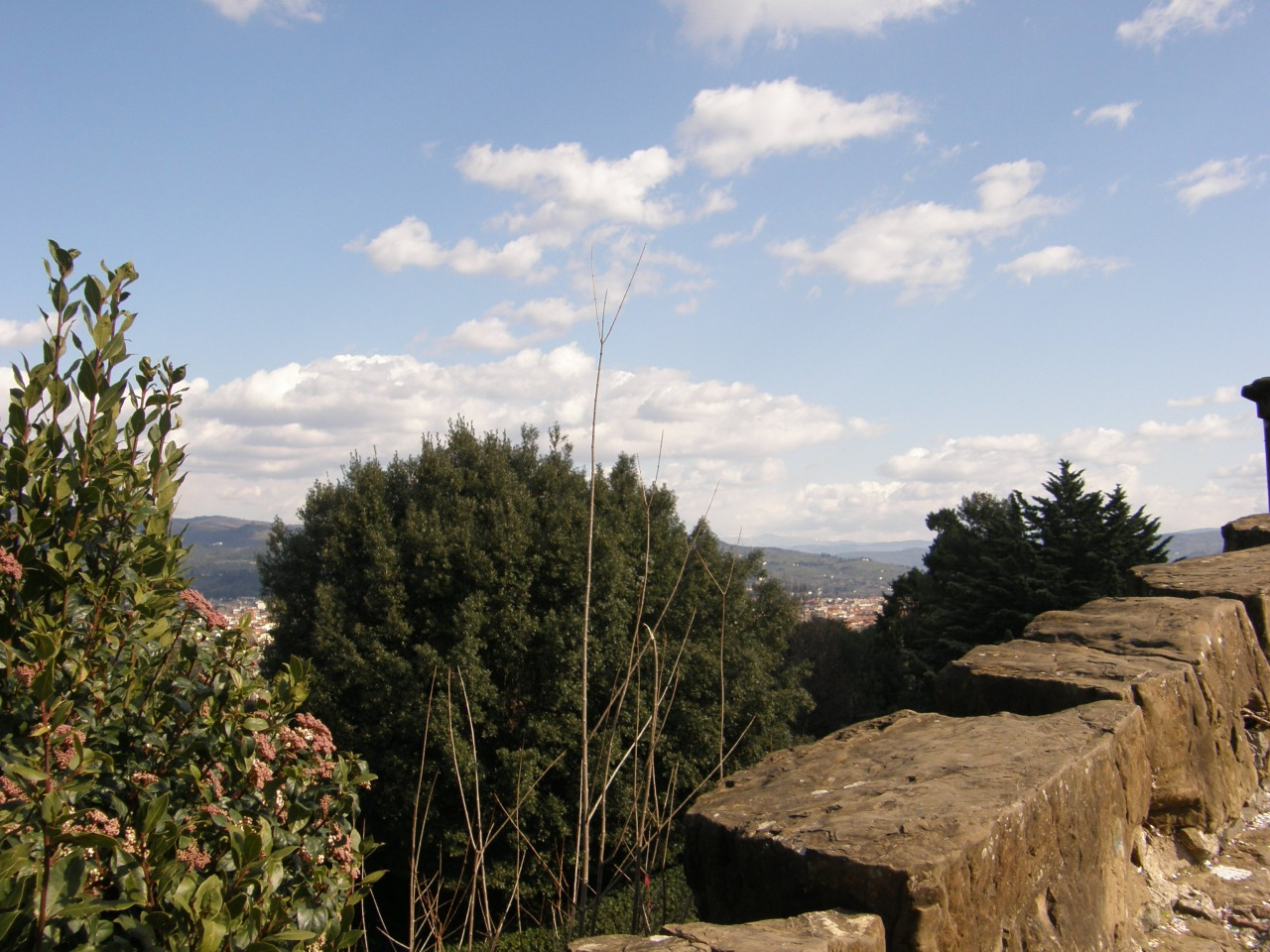 P2150215.JPG