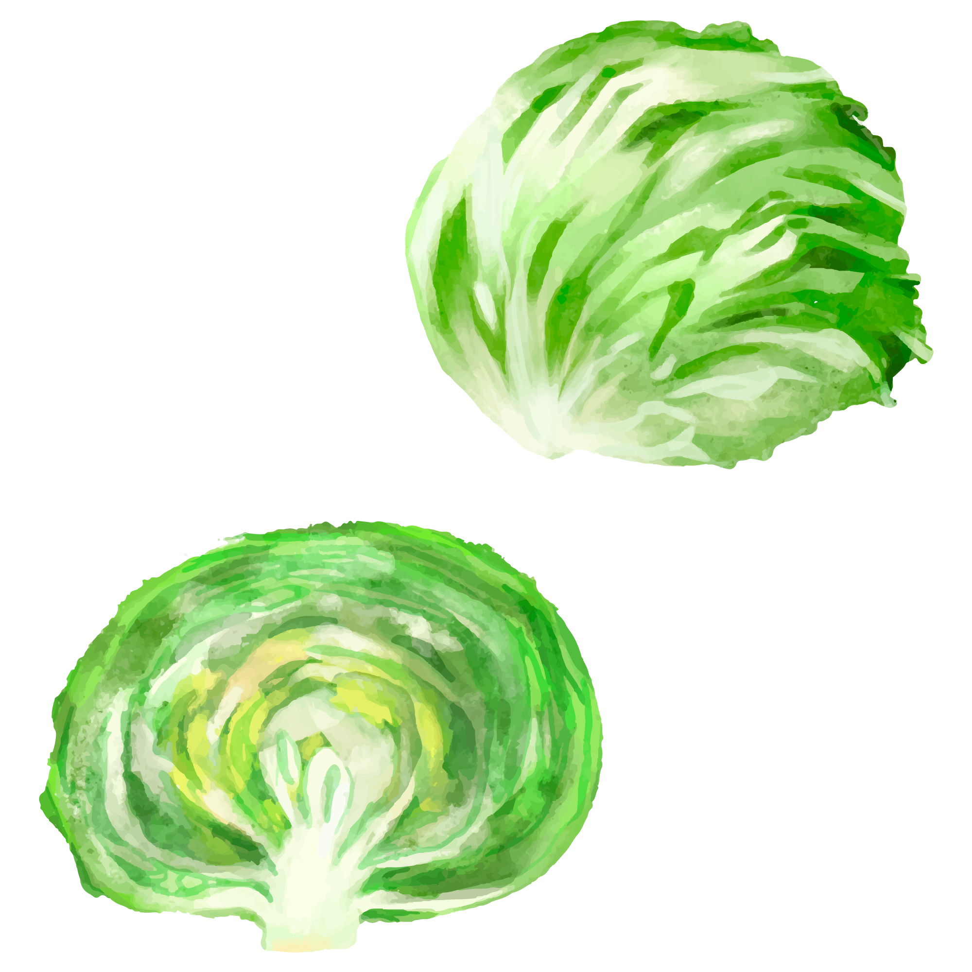 22326246.jpg