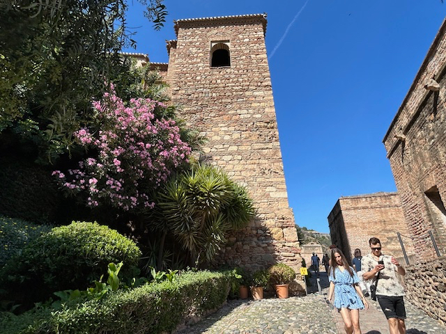 IMG_6272.jpg