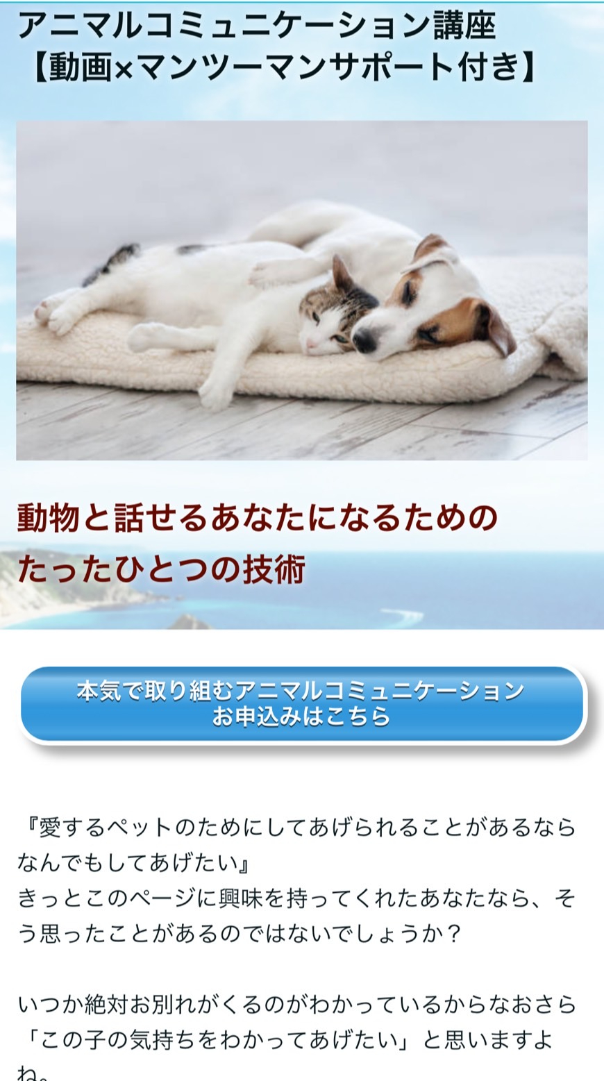 S__78897156.jpg