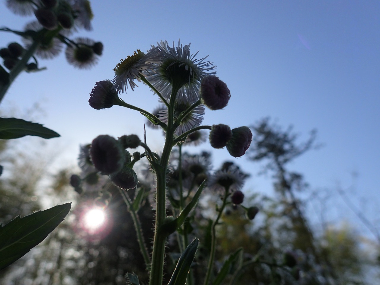 P4220281.JPG