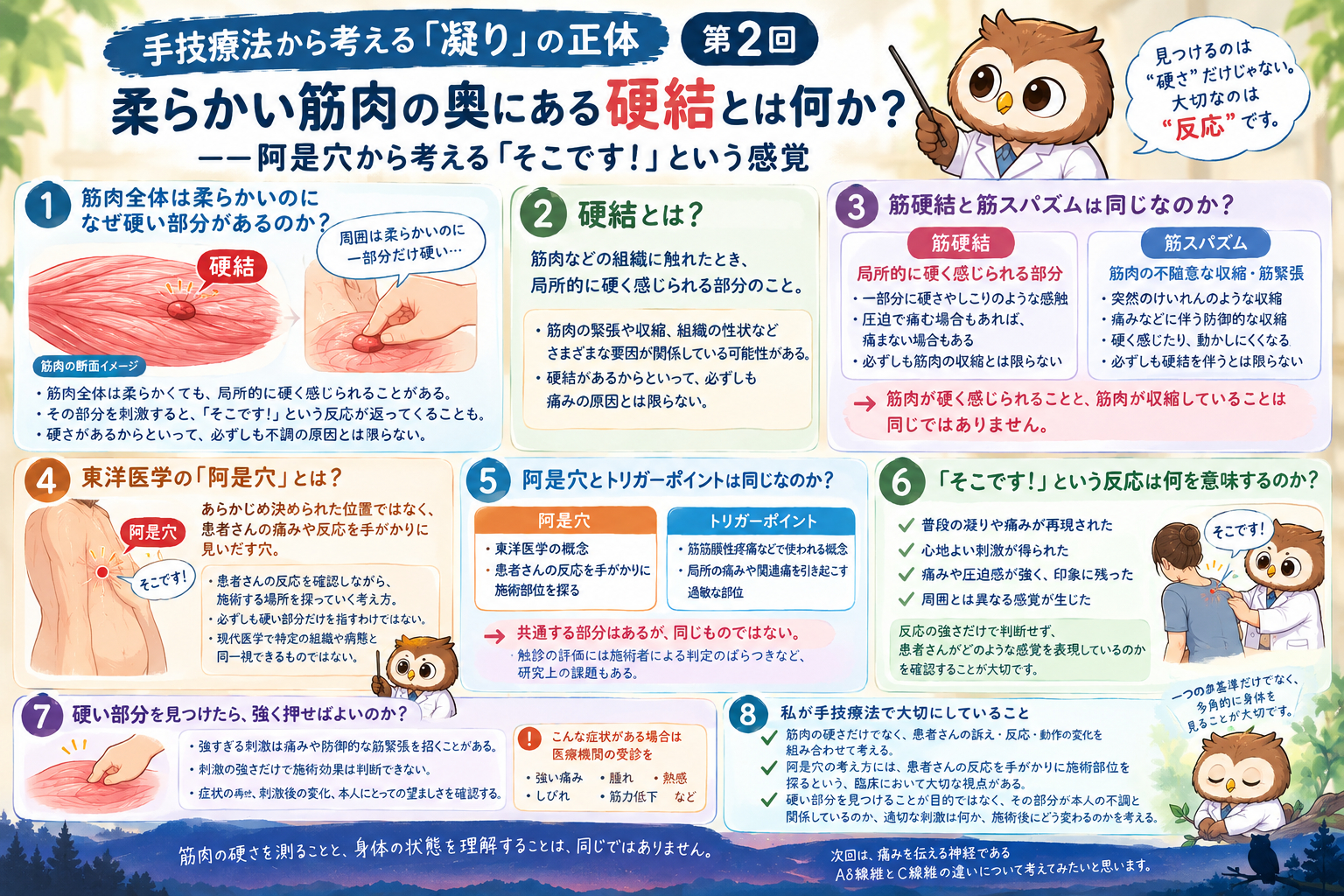 筋肉の硬結と阿是穴を学ぶ図解.png