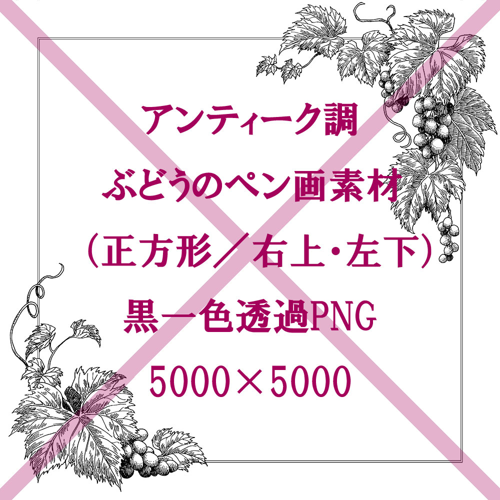 見本画像＿ぶどうフレーム正方形２右上.jpg