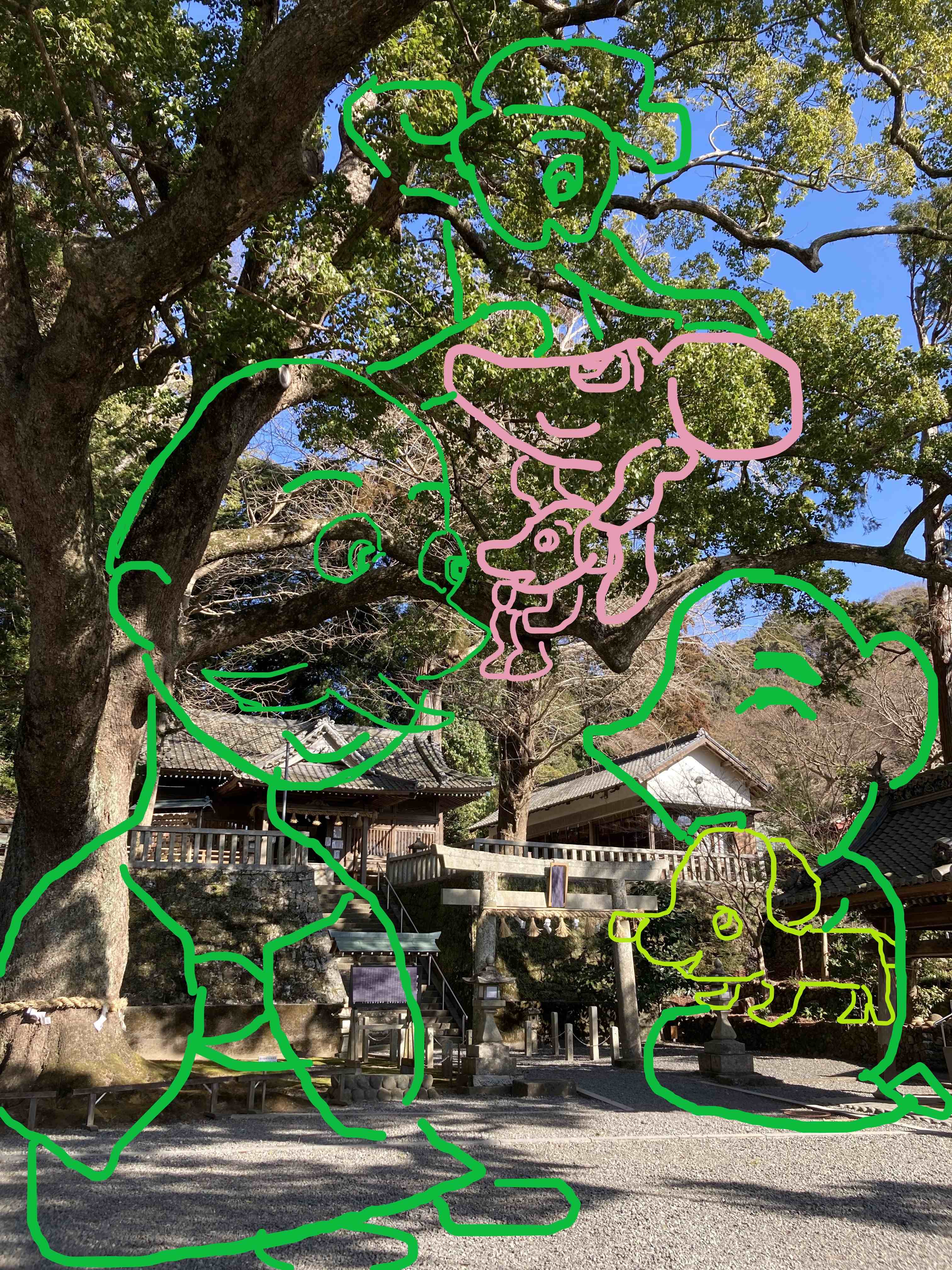 事任八幡宮 神様と小龍ちゃん2.jpg