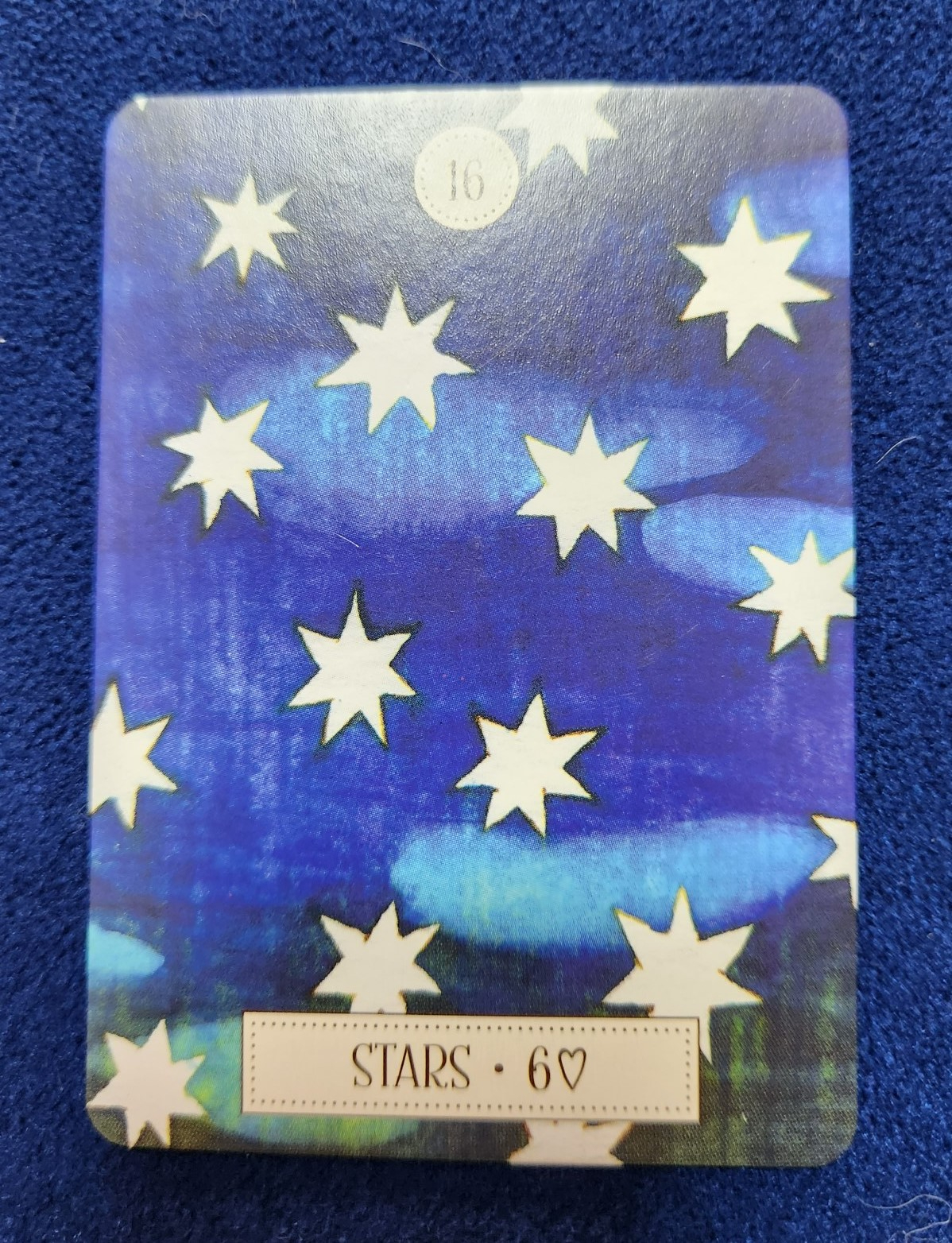 20231113_092117 (002).jpg