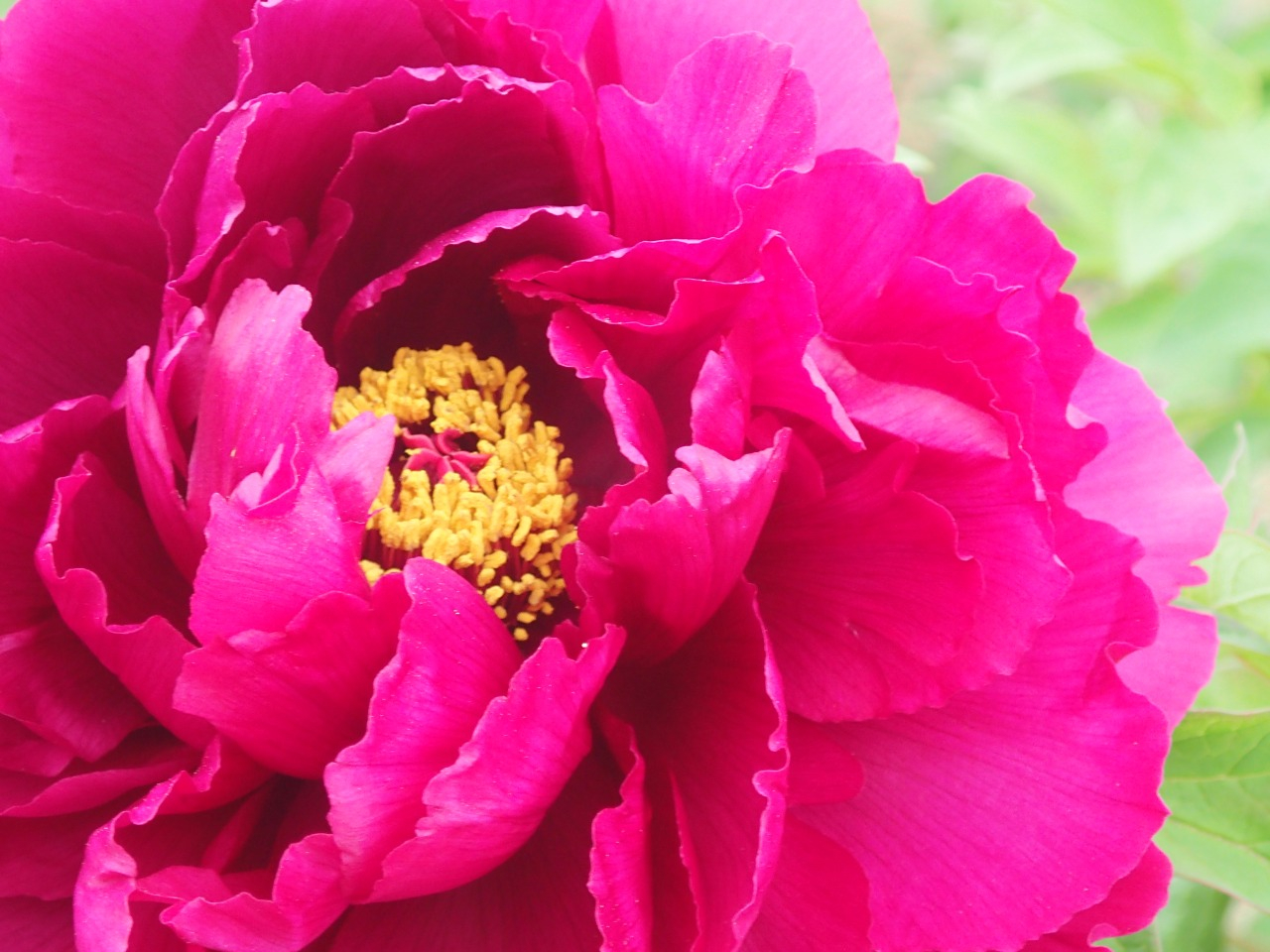 P4260165.JPG