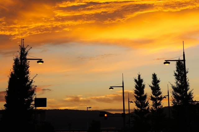 28801630_s-2.jpg
