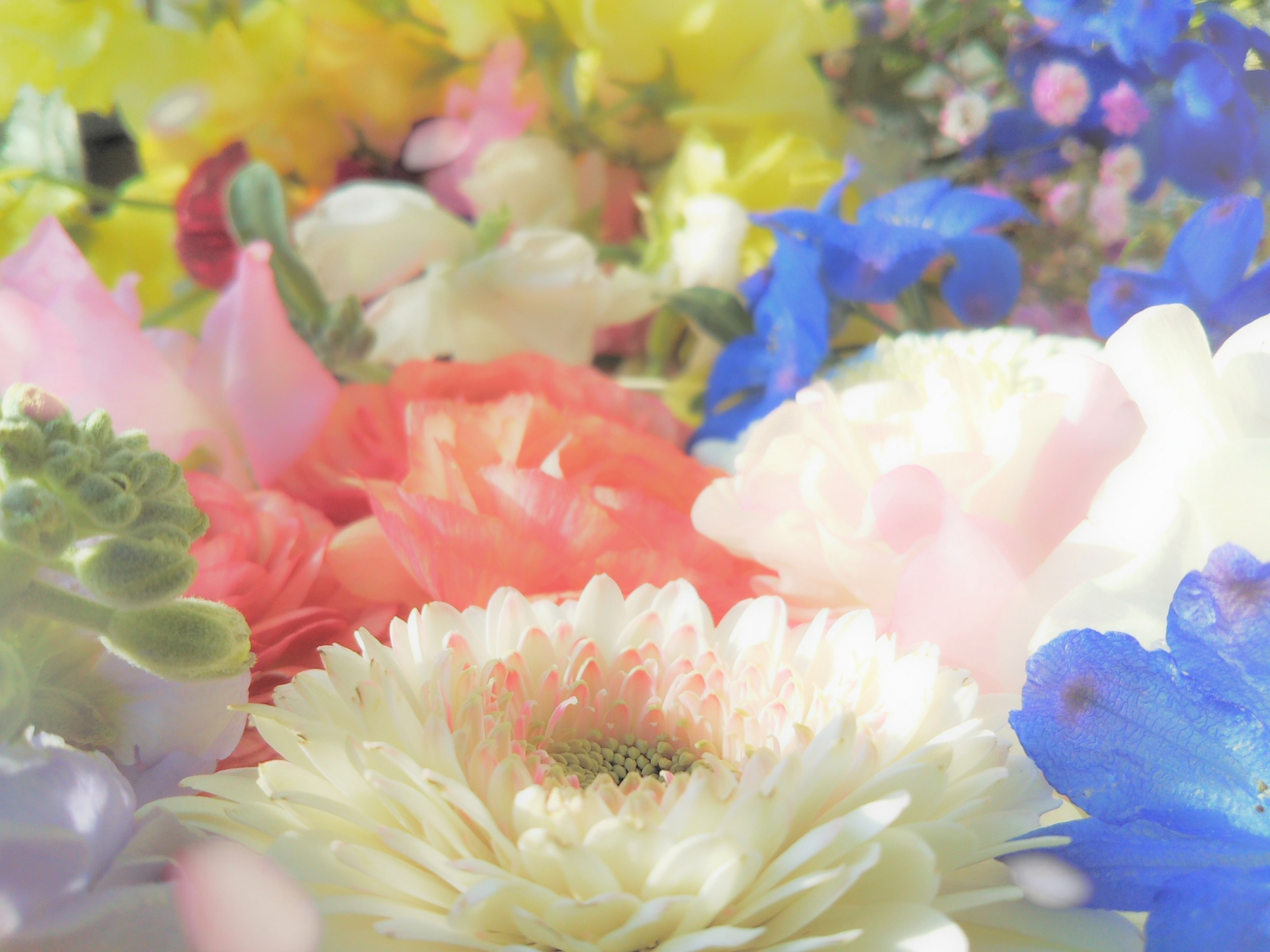 B7119D3A-1E80-46CD-BFA5-788EF5F9FA4F.jpeg