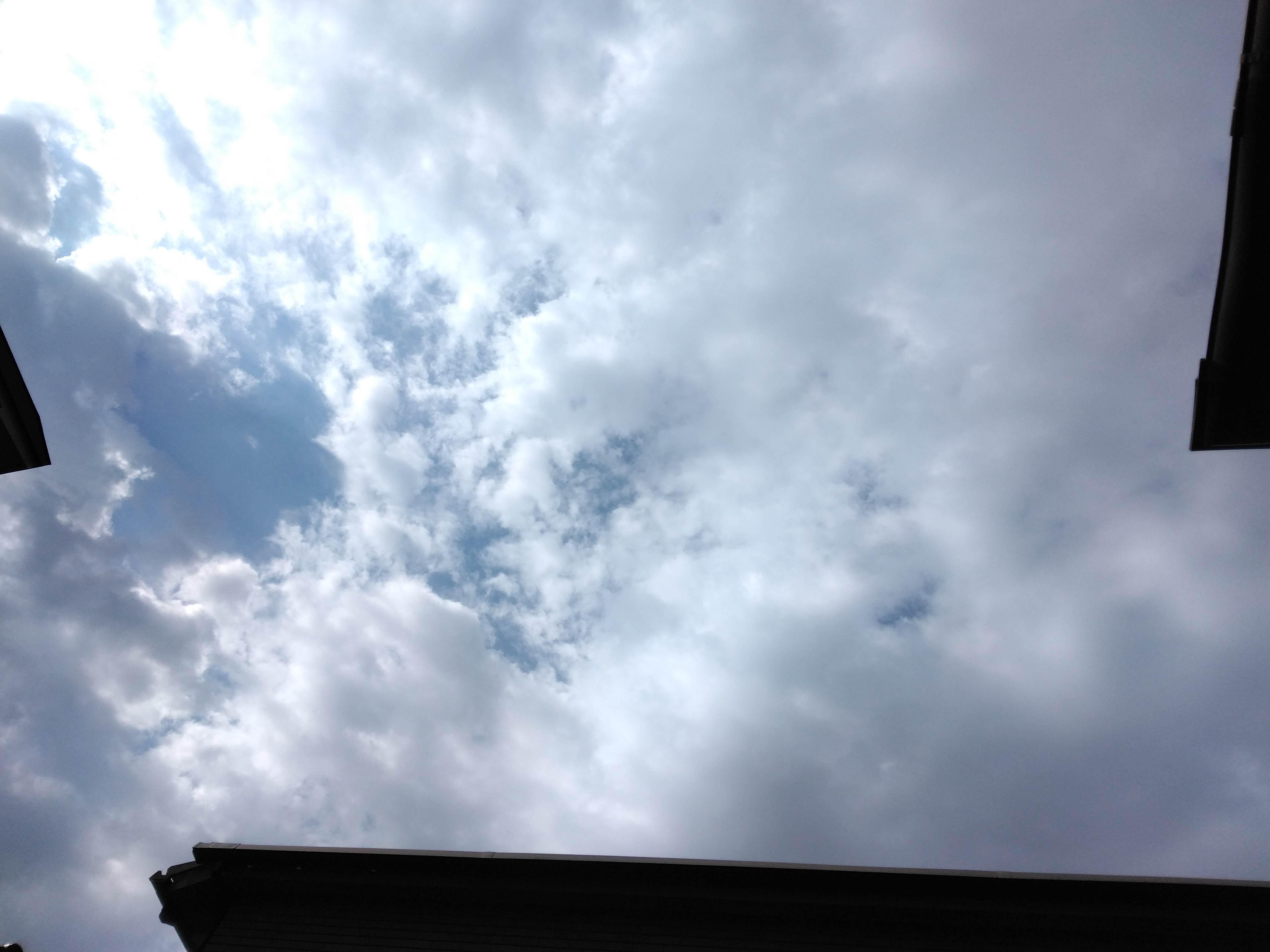 IMG_20260721_075917.jpg