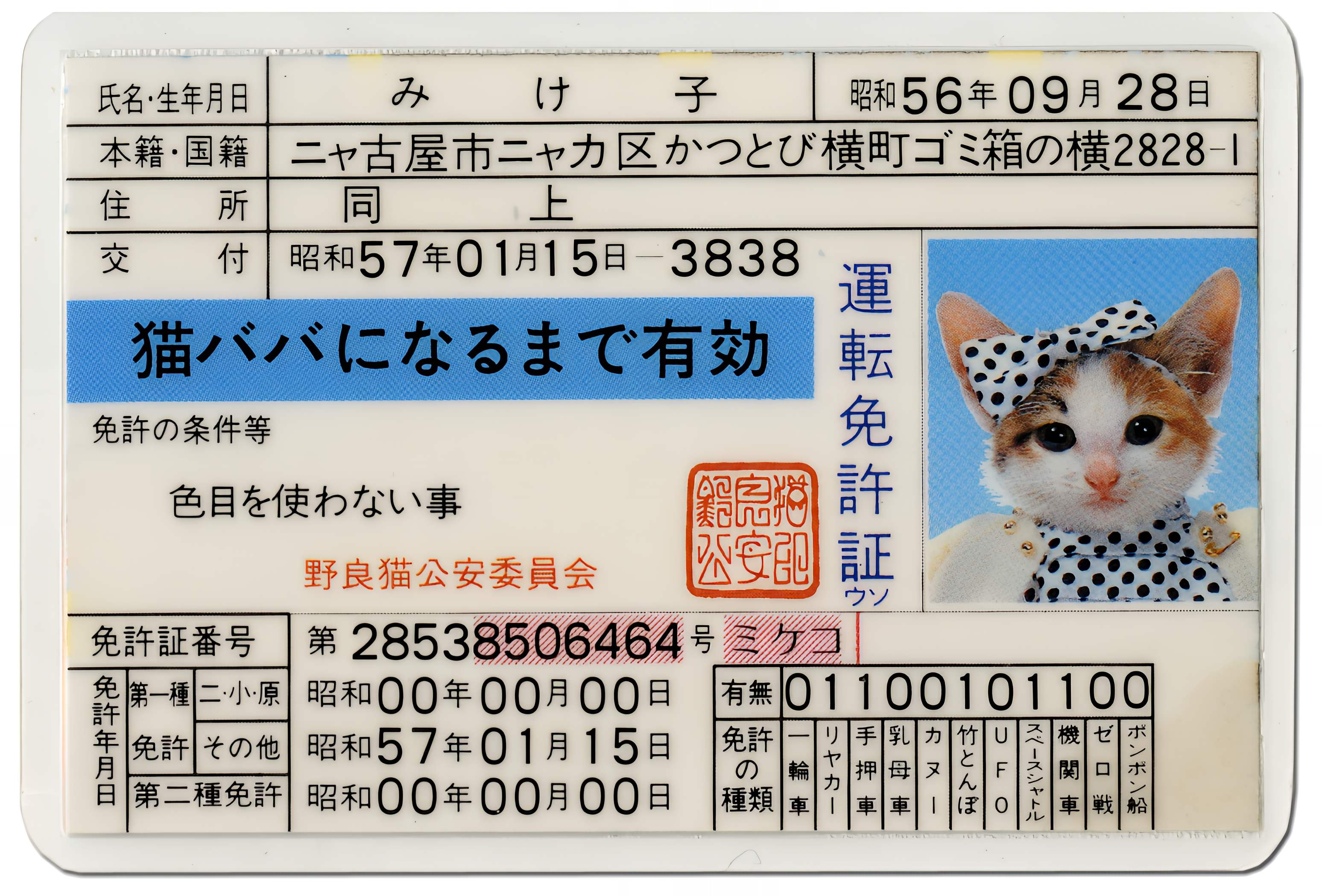 免許証みけ子_smooth_x2_3096x2098_2pass_moreDetail.jpeg