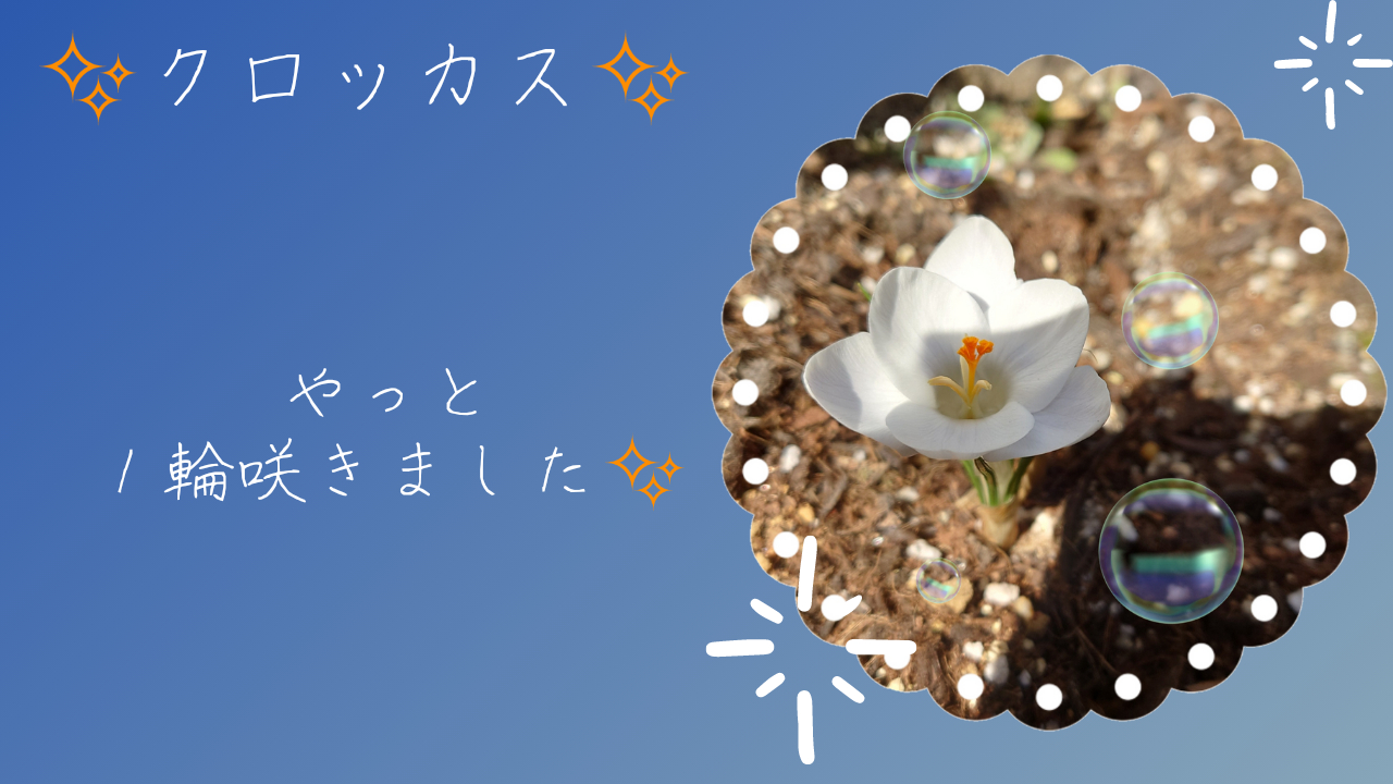 20230224_154618_0000.png