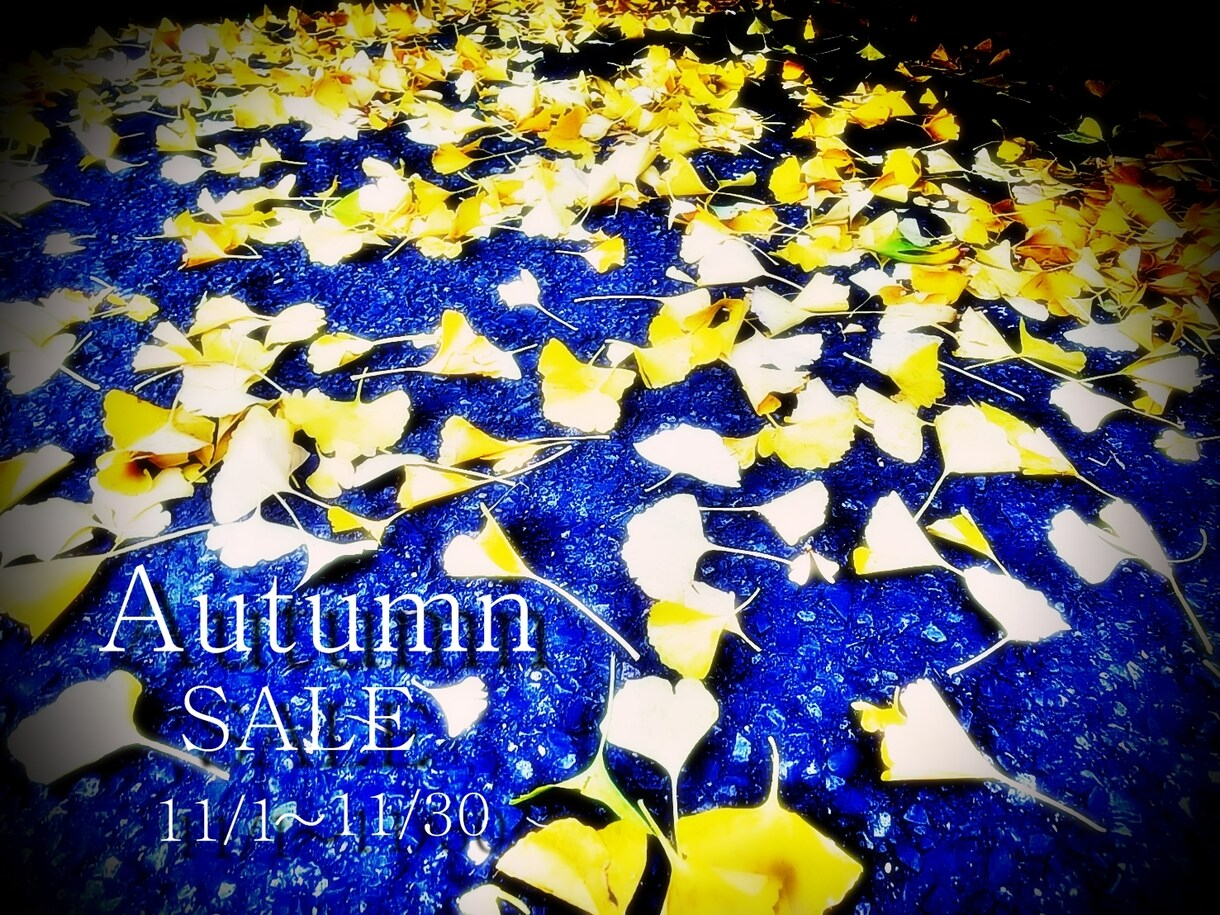 2024年11月SALE.jpg