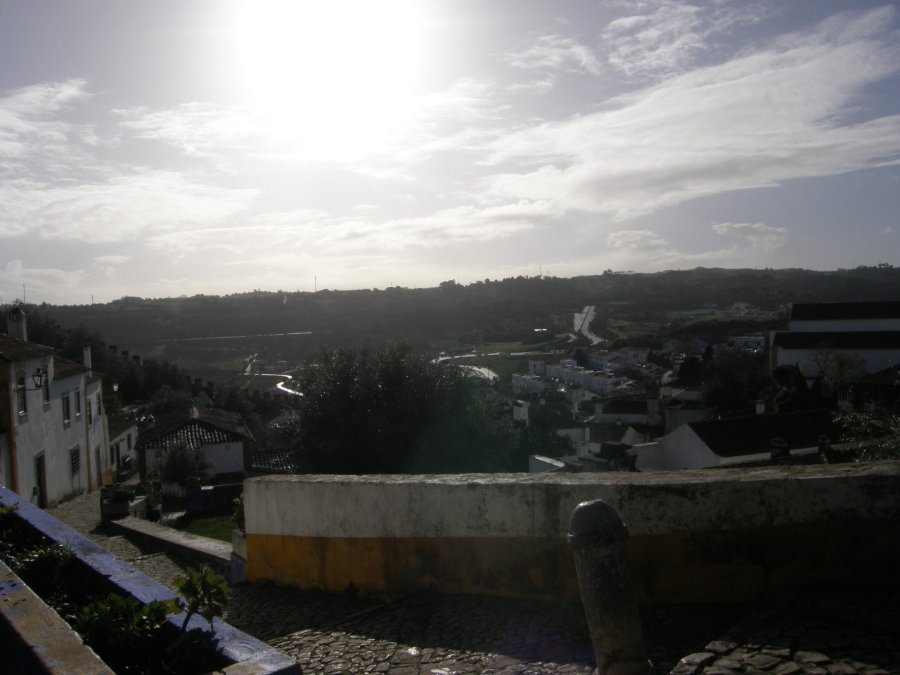 P1261530.JPG