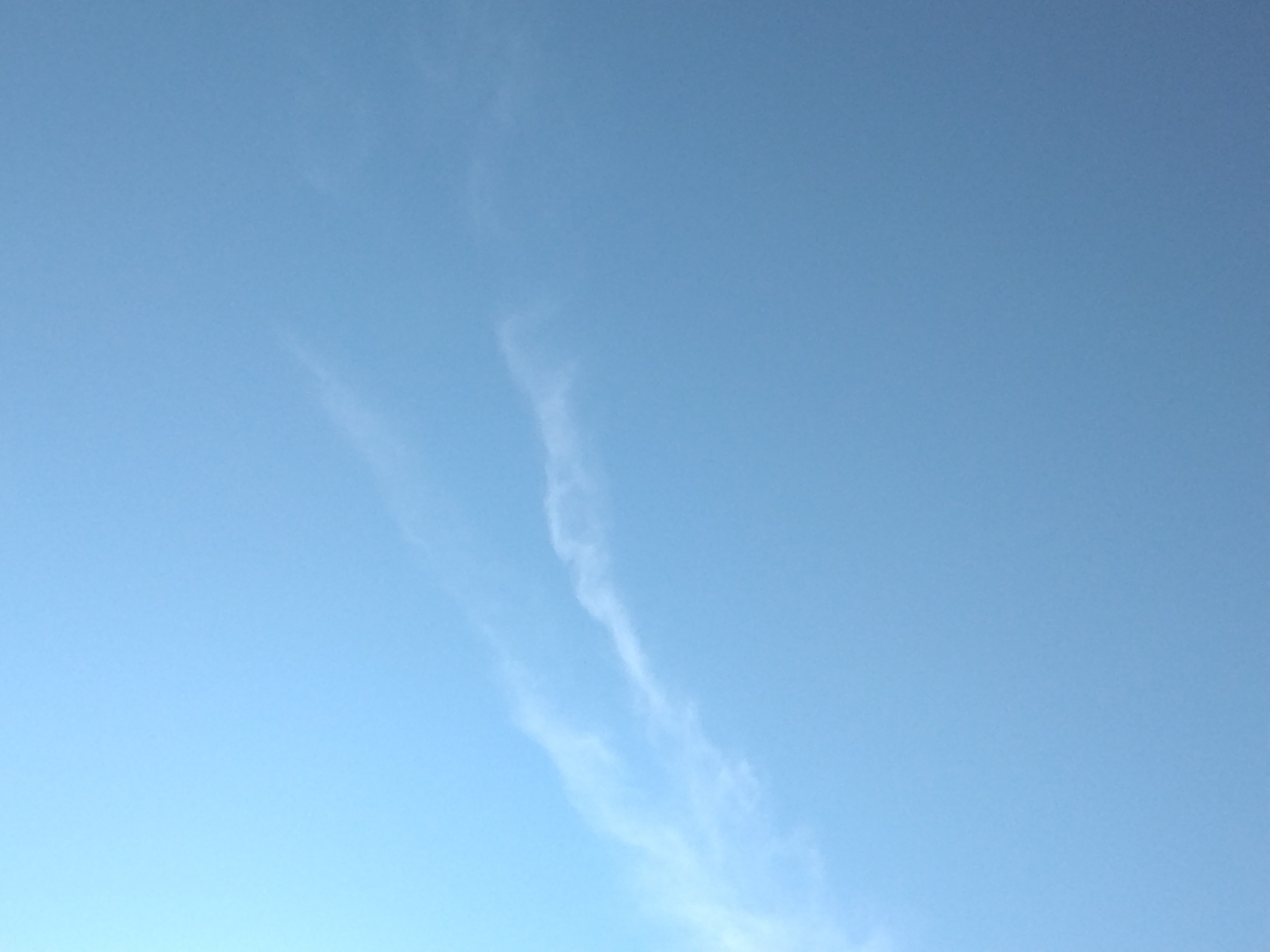 IMG_20250629_073439.jpg