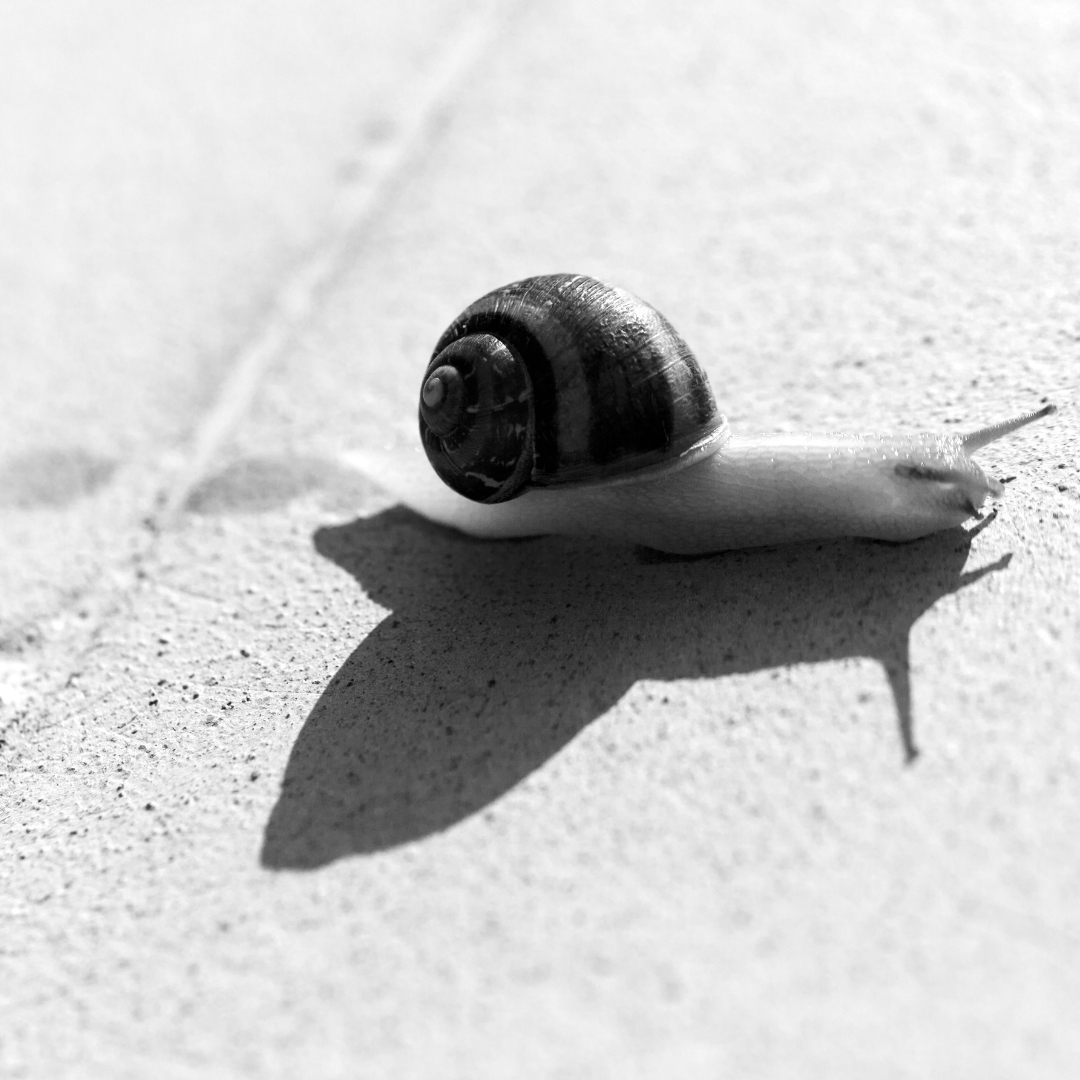 ブログ画像 (33).png