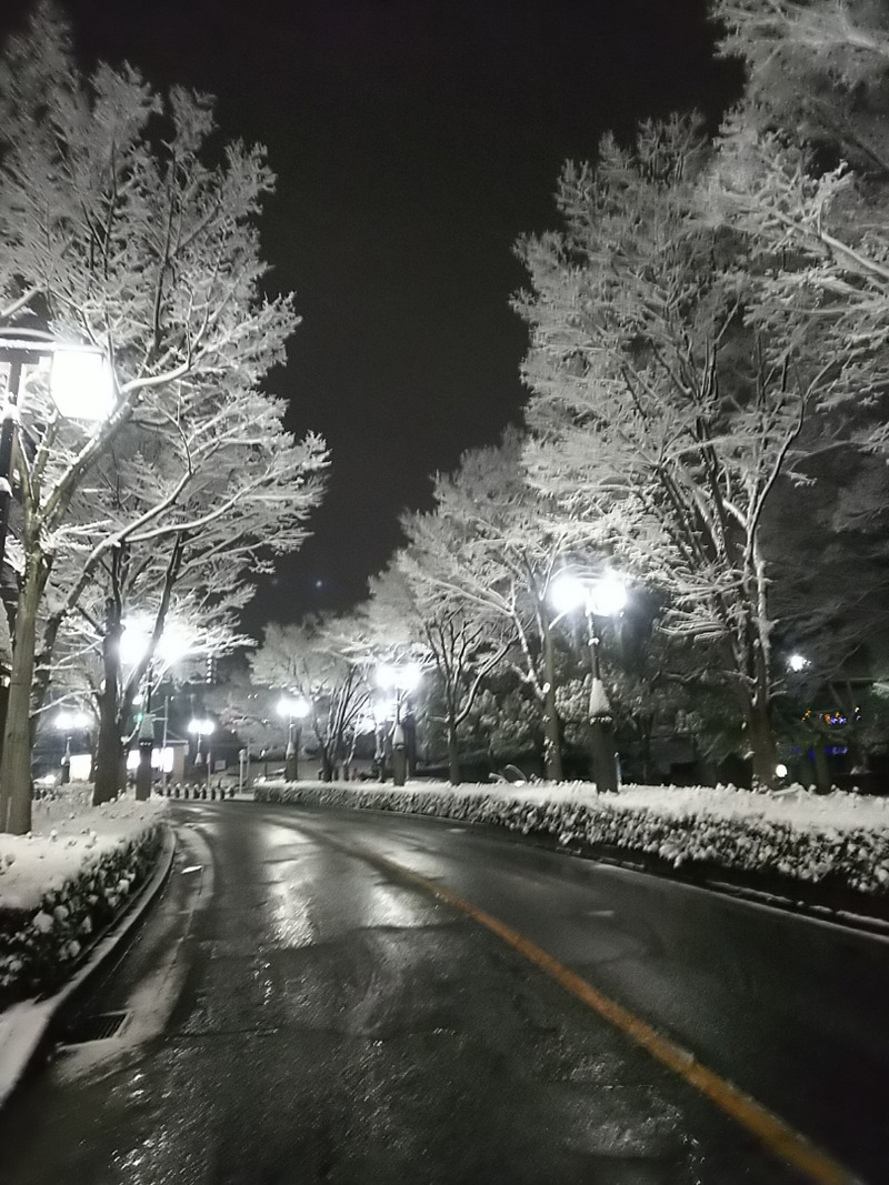 雪3.jpg