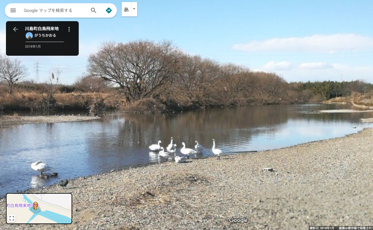 白鳥飛来地.PNG