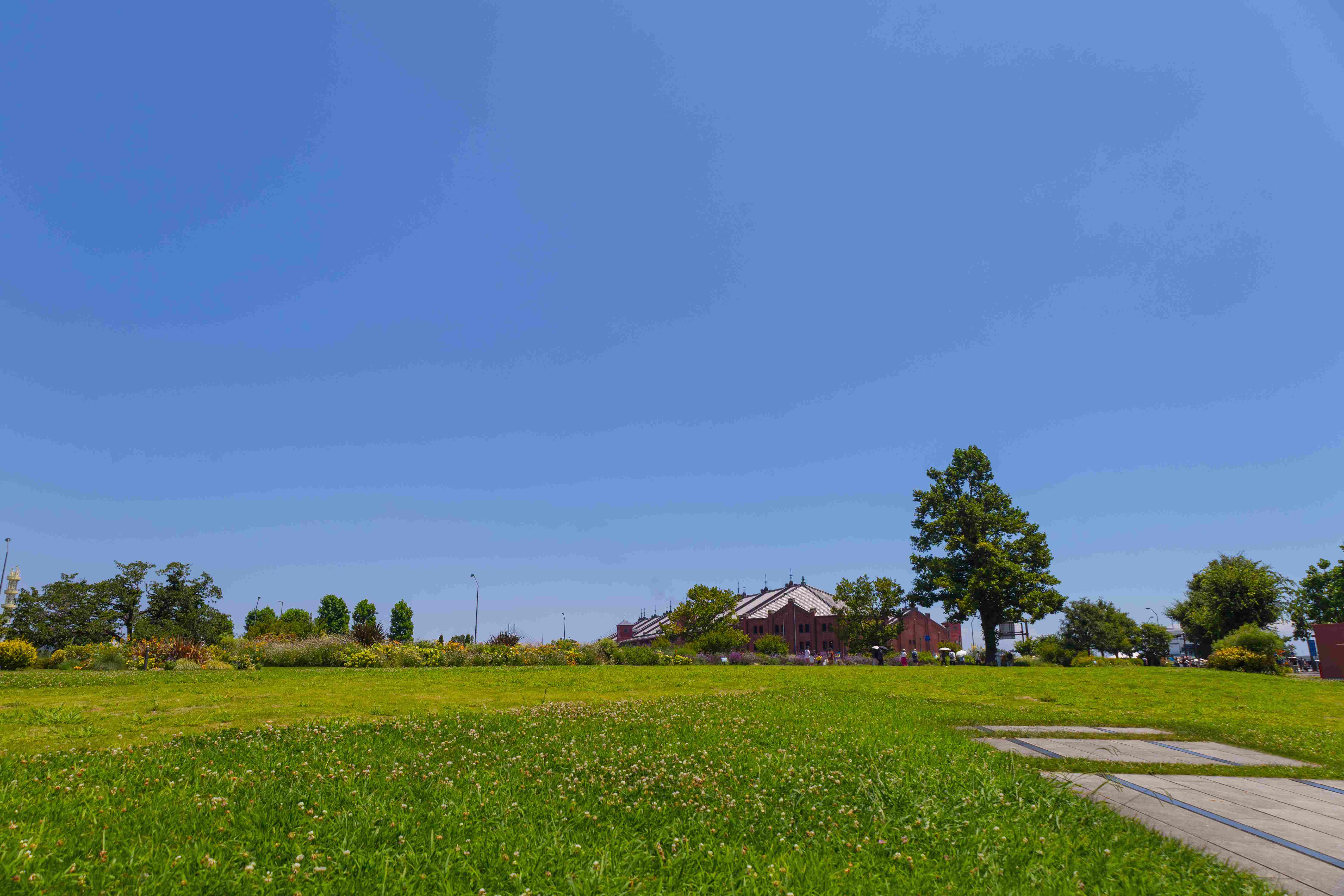 2026-07-20_115120_Canon EOS RP.jpg