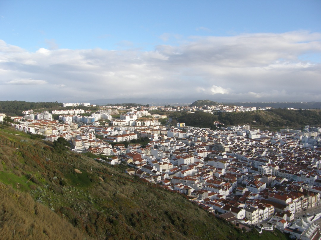 P1261395.JPG