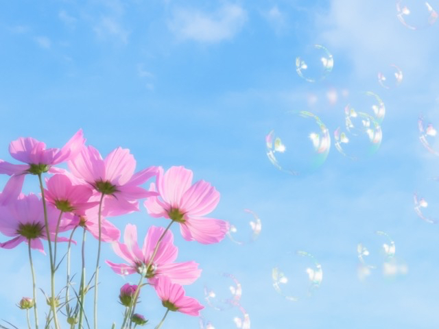 69722921-CF15-46C7-A984-110B645A1969.jpeg