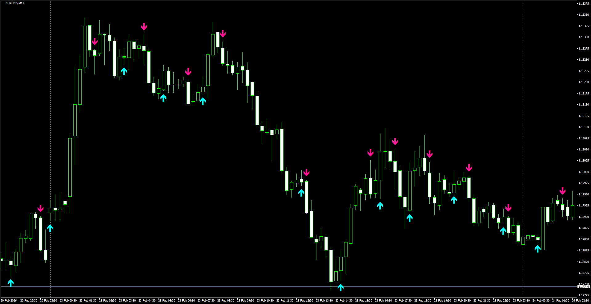EURUSD(M15)_2026.02.24_212045.png