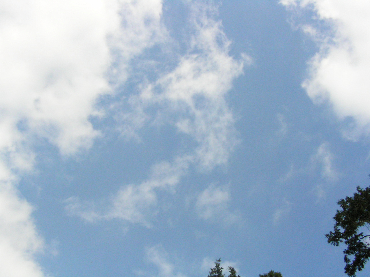 PA260073.JPG