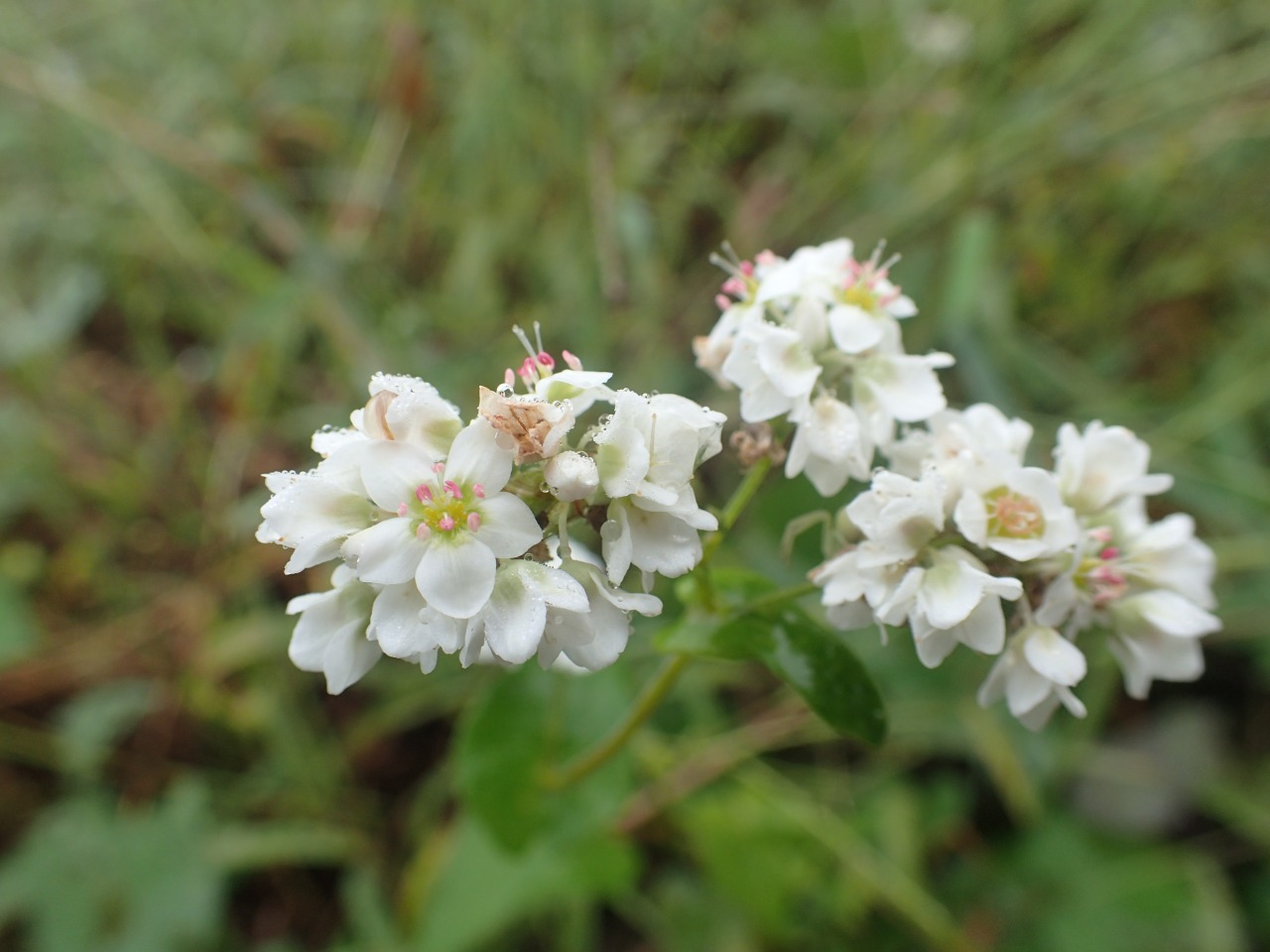 PA050297.JPG