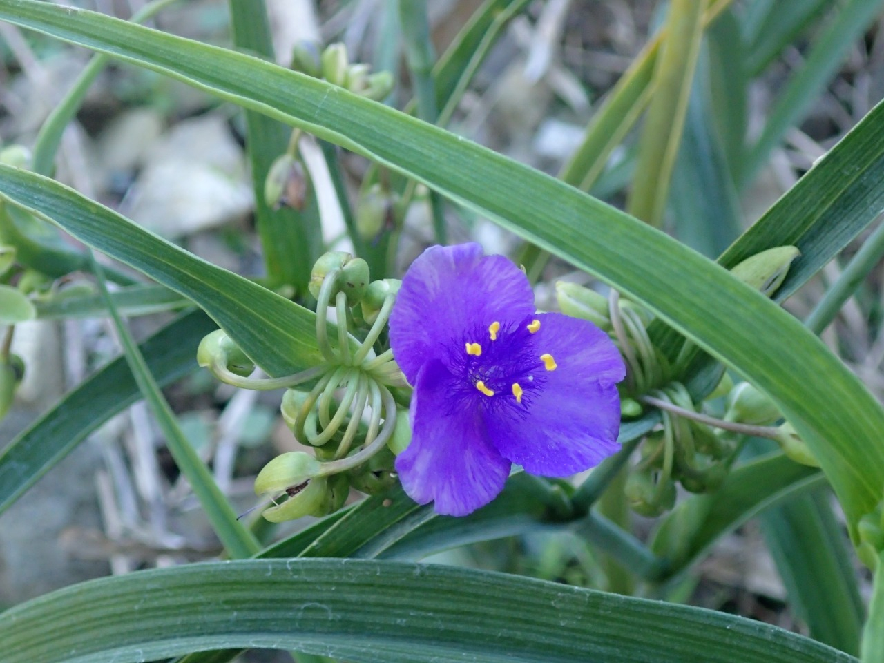 PA060365.JPG