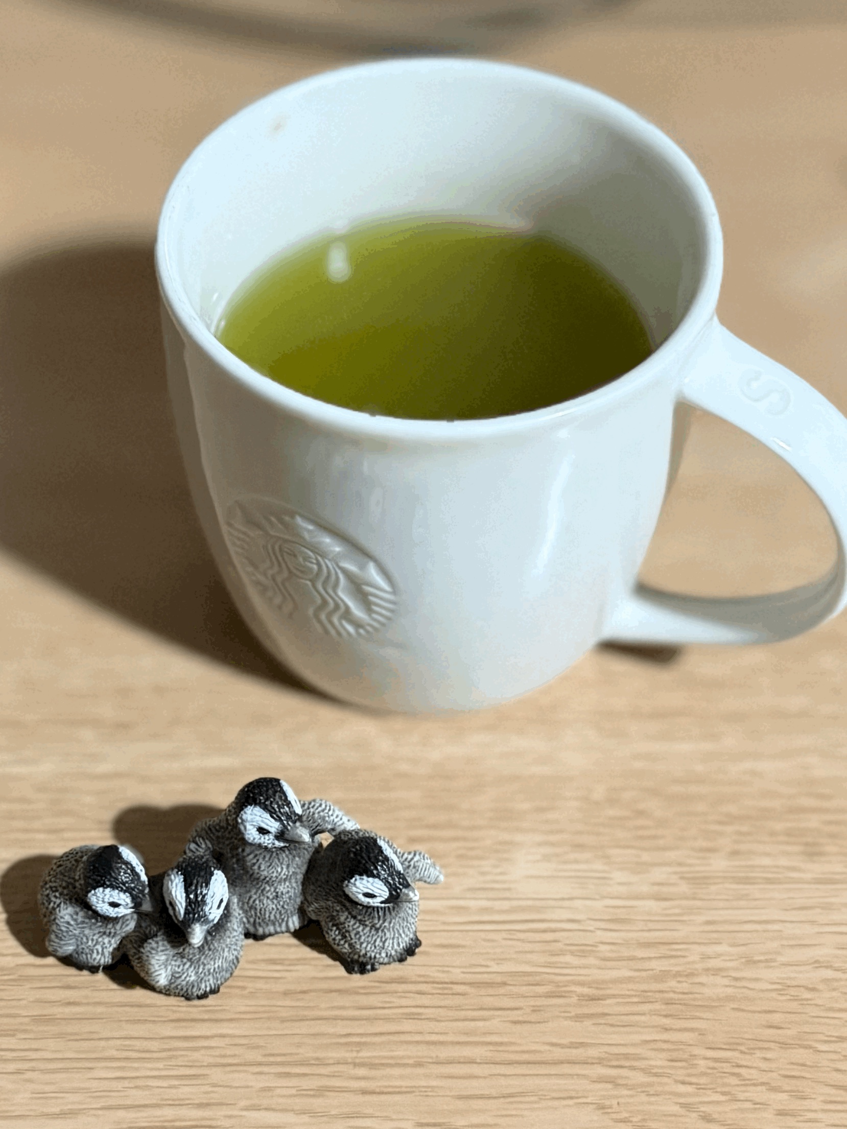 tempImageMmmt13.gif