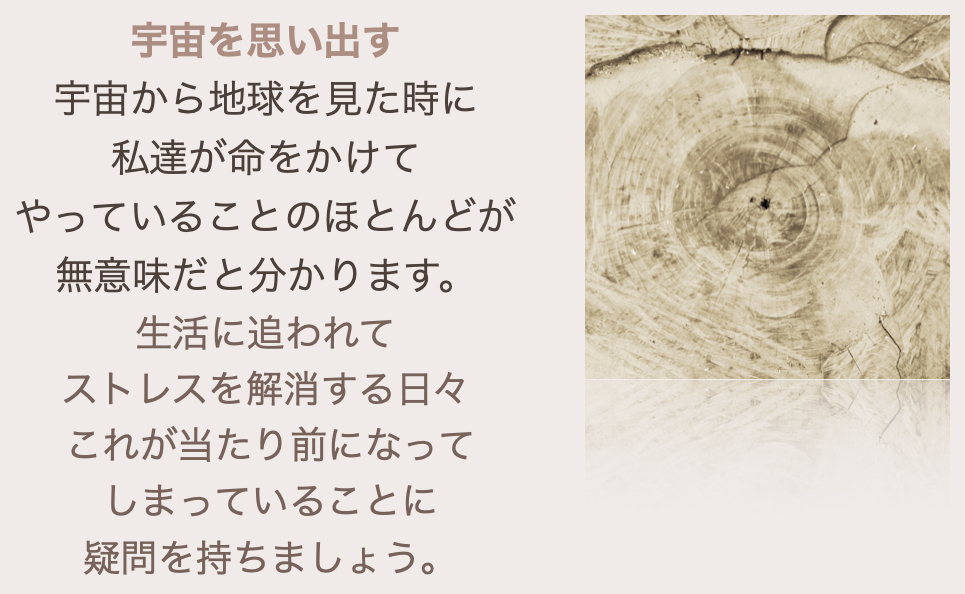 スクリーンショット 2024-08-14 18.24.49.png