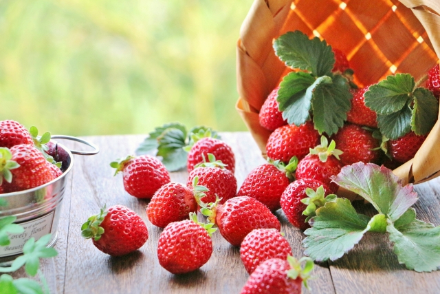 4EC6E2BE-D6DD-4C4D-B3C9-35B405C4CA32.jpeg