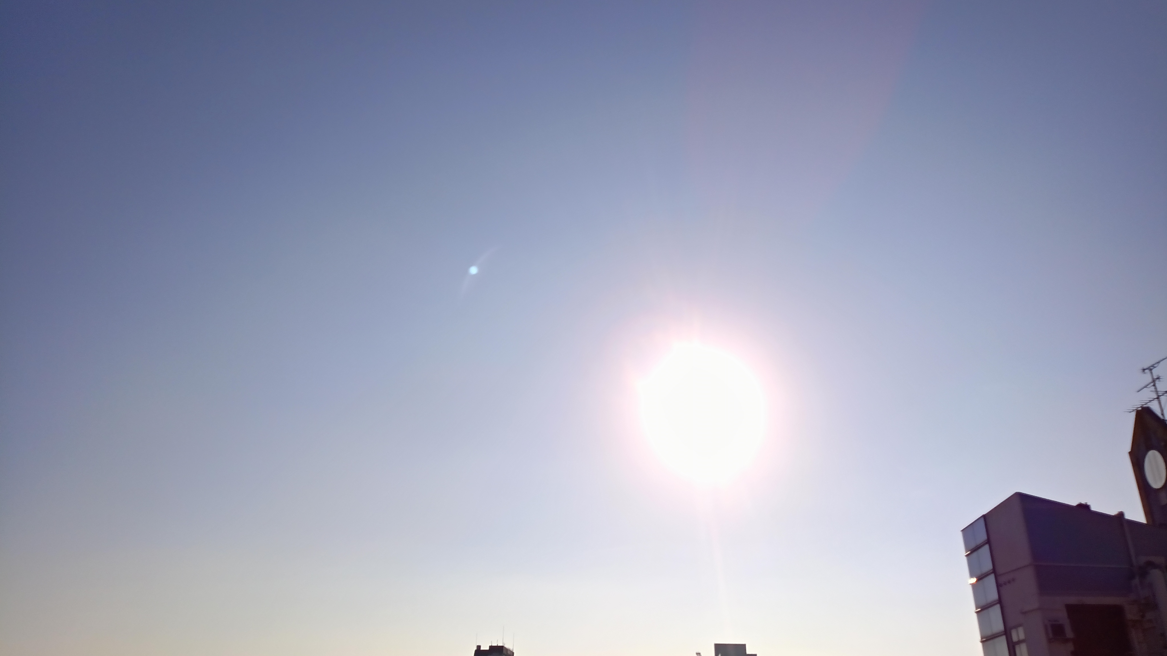 IMG_20241001_073851_443.jpg
