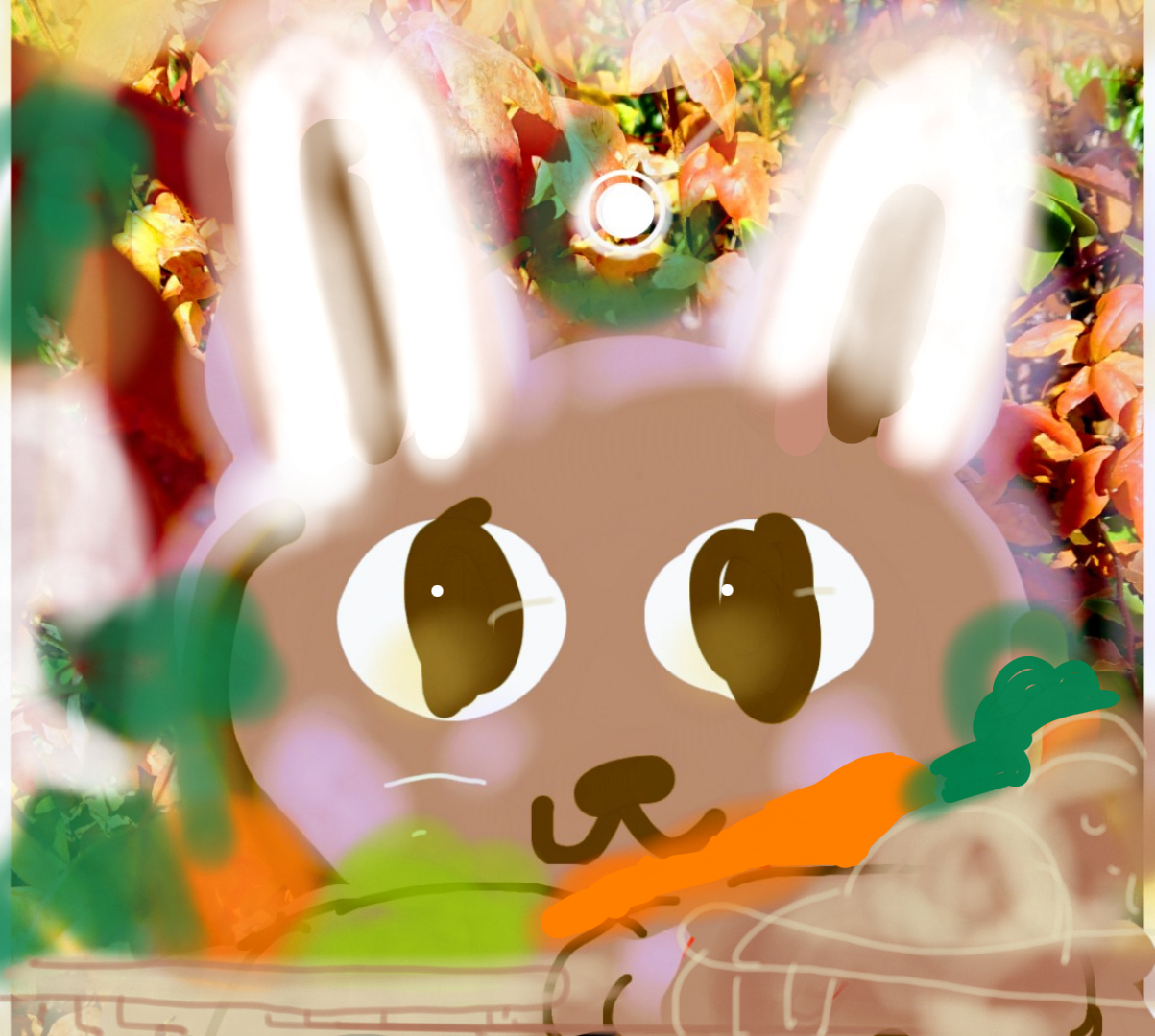 sketch-1673147014662.png