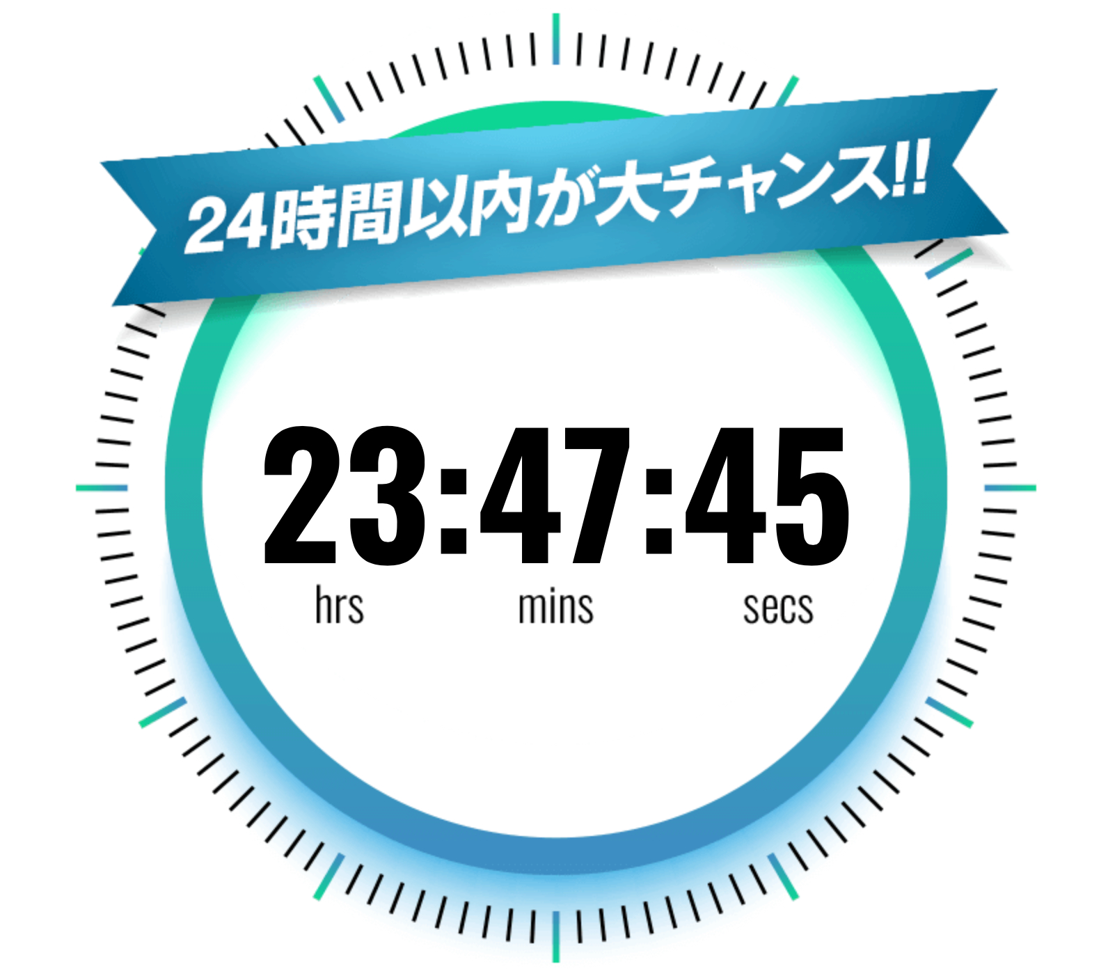 スクリーンショット 2024-12-02 13.48.31.png