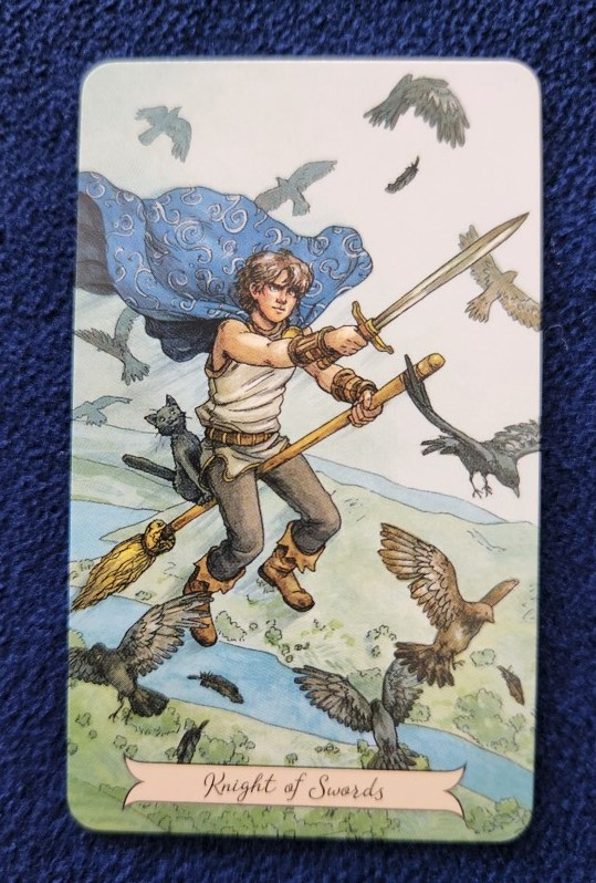 20230727_084424 (002).jpg