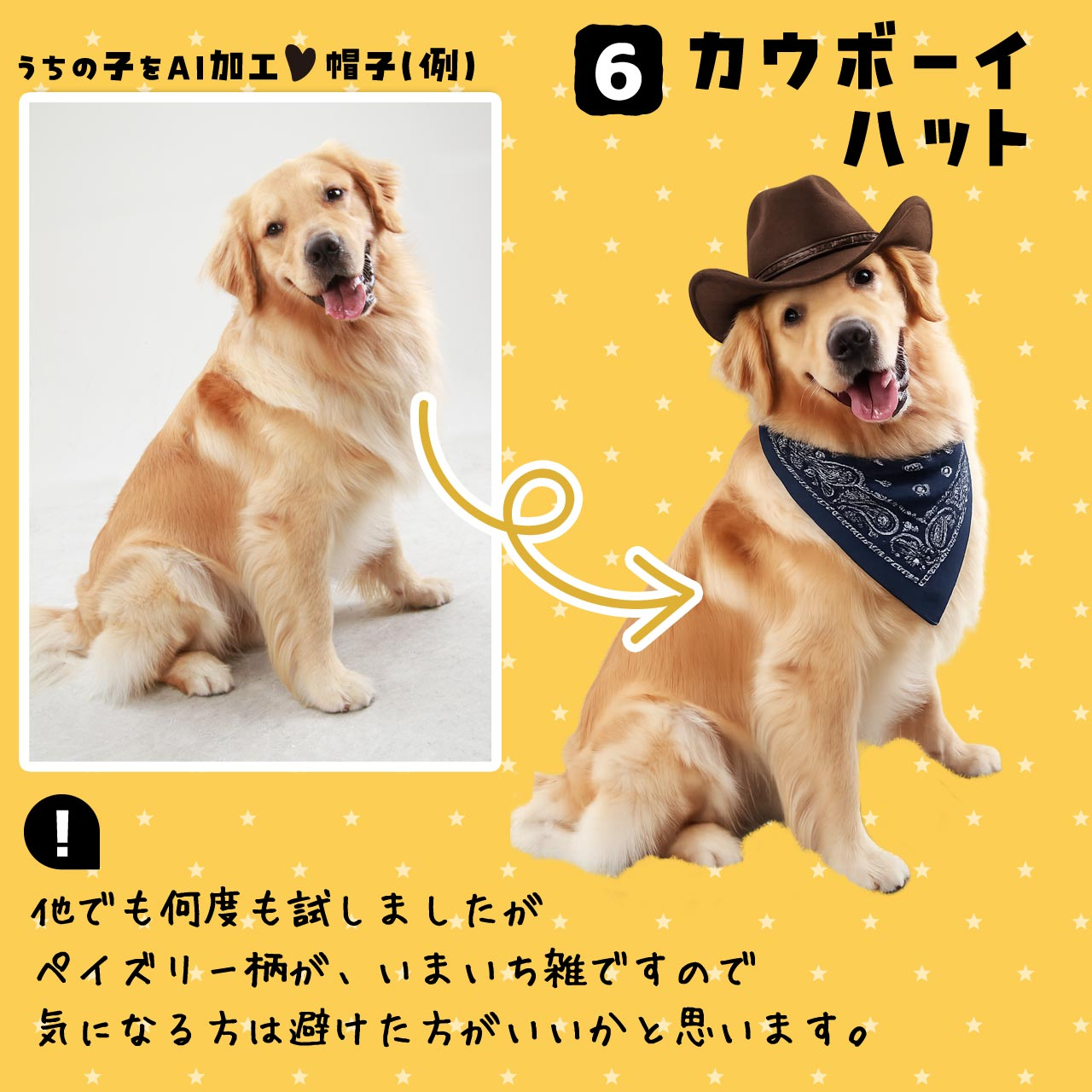 AI_A6cowboy1.jpg