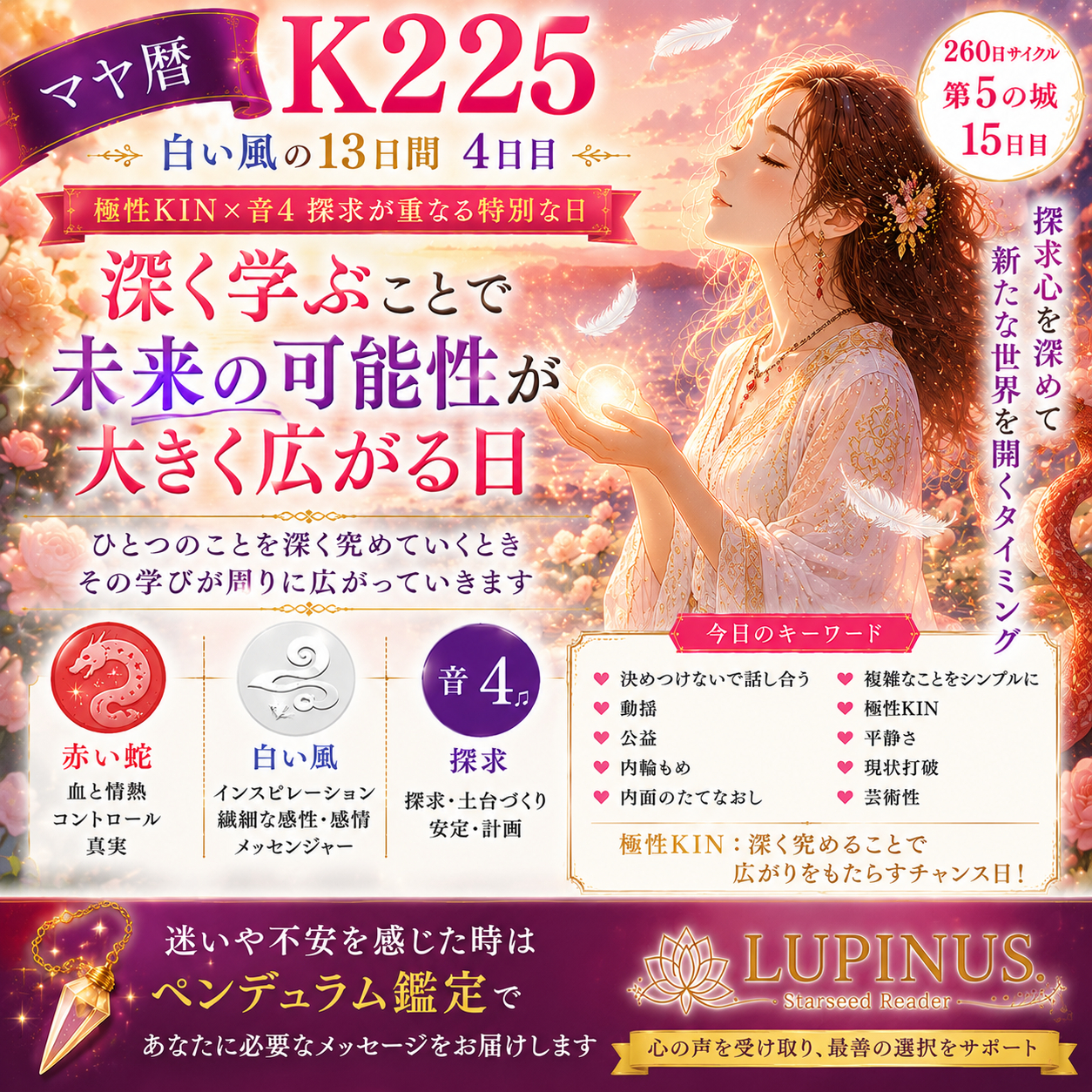 225 極性.png