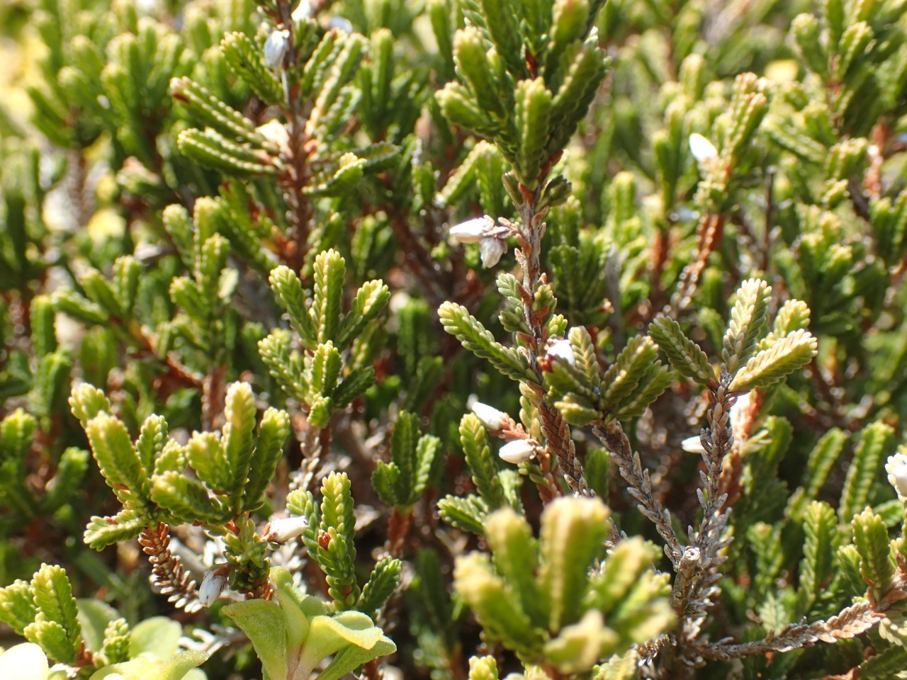 P3220784.JPG